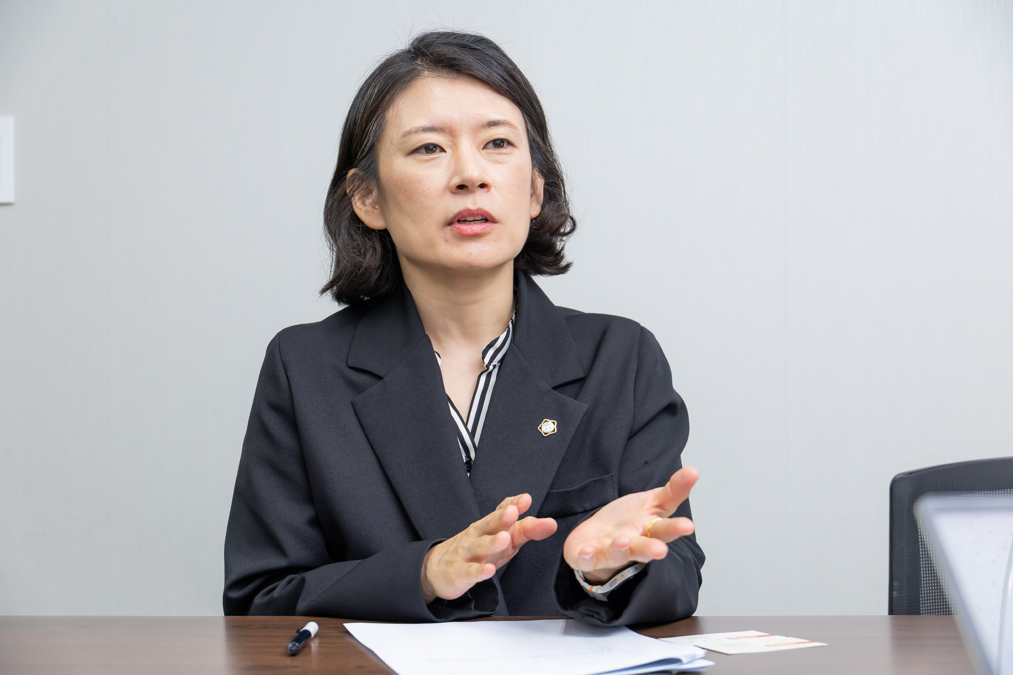 정치;정당;조국혁신당;배수진변호사;배수진조국혁신당당헌당규제개정위원장;법무법인율플러스;검찰개혁;문재인정부부동산통계조작의혹사건