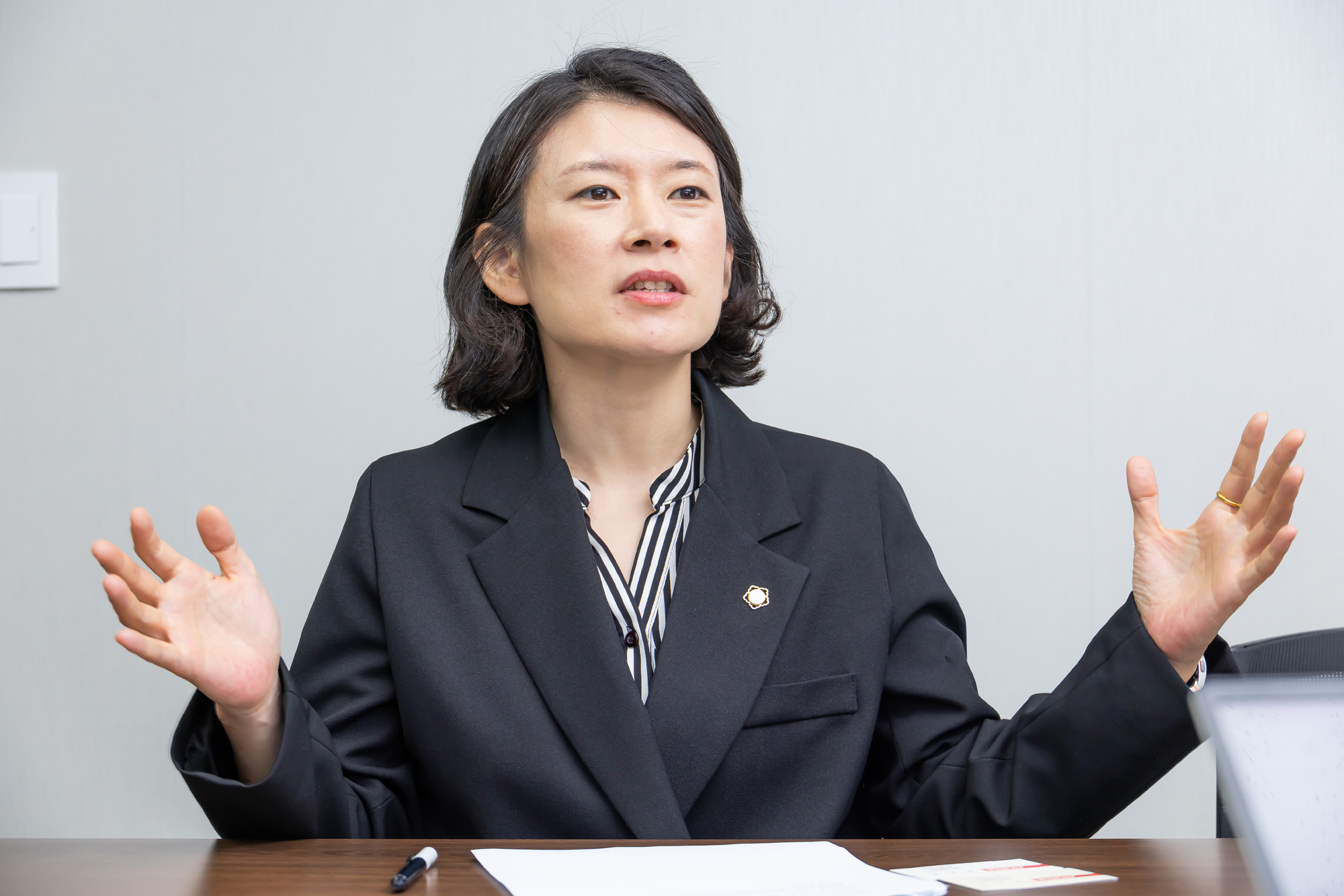 정치;정당;조국혁신당;배수진변호사;배수진조국혁신당당헌당규제개정위원장;법무법인율플러스;검찰개혁;문재인정부부동산통계조작의혹사건