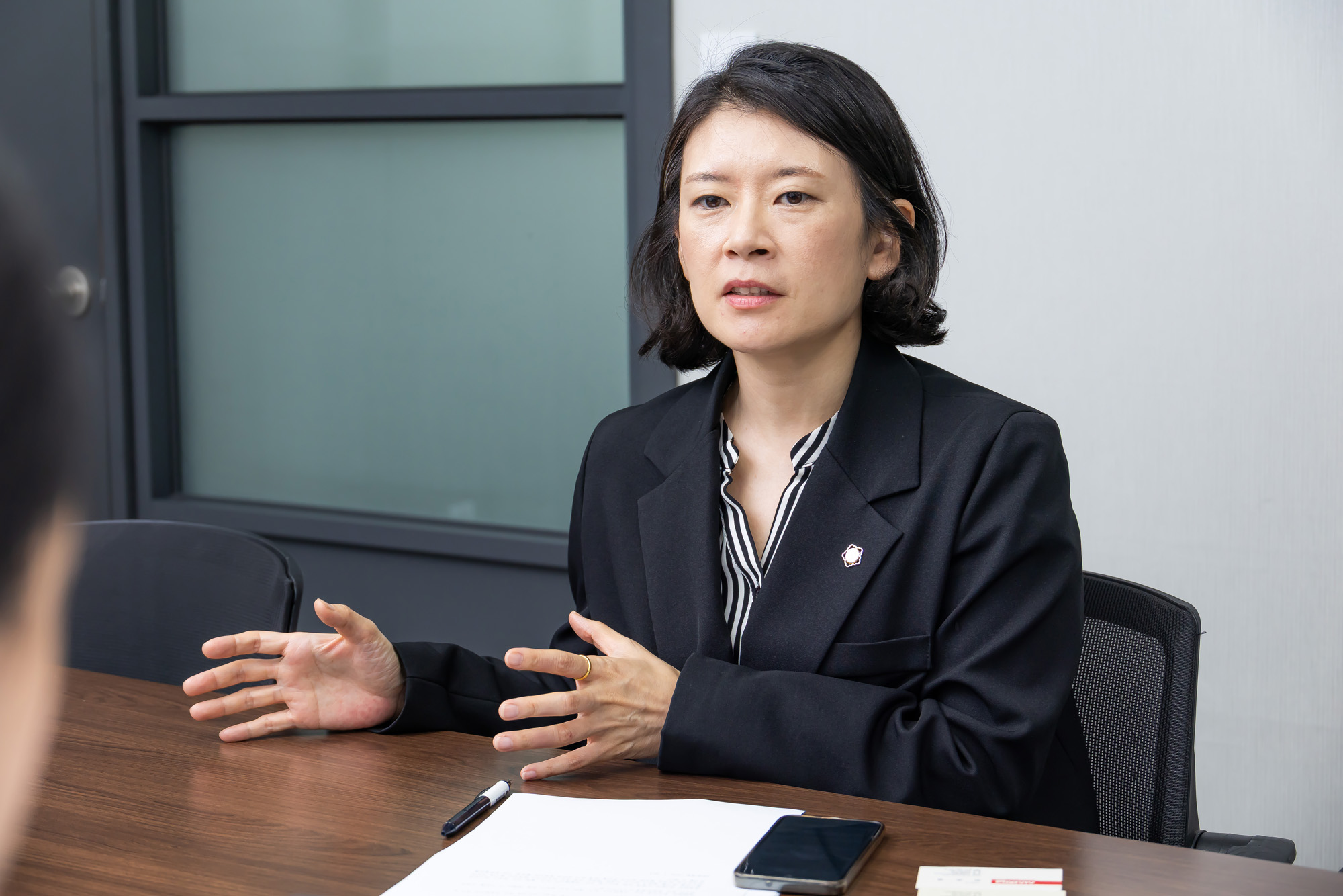 정치;정당;조국혁신당;배수진변호사;배수진조국혁신당당헌당규제개정위원장;법무법인율플러스;검찰개혁;문재인정부부동산통계조작의혹사건
