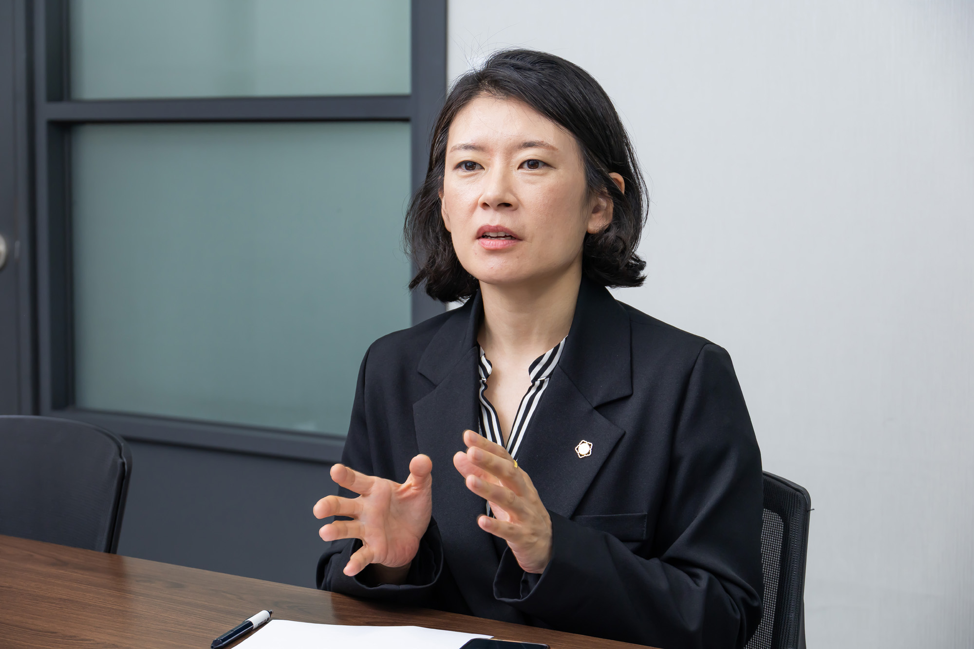 정치;정당;조국혁신당;배수진변호사;배수진조국혁신당당헌당규제개정위원장;법무법인율플러스;검찰개혁;문재인정부부동산통계조작의혹사건