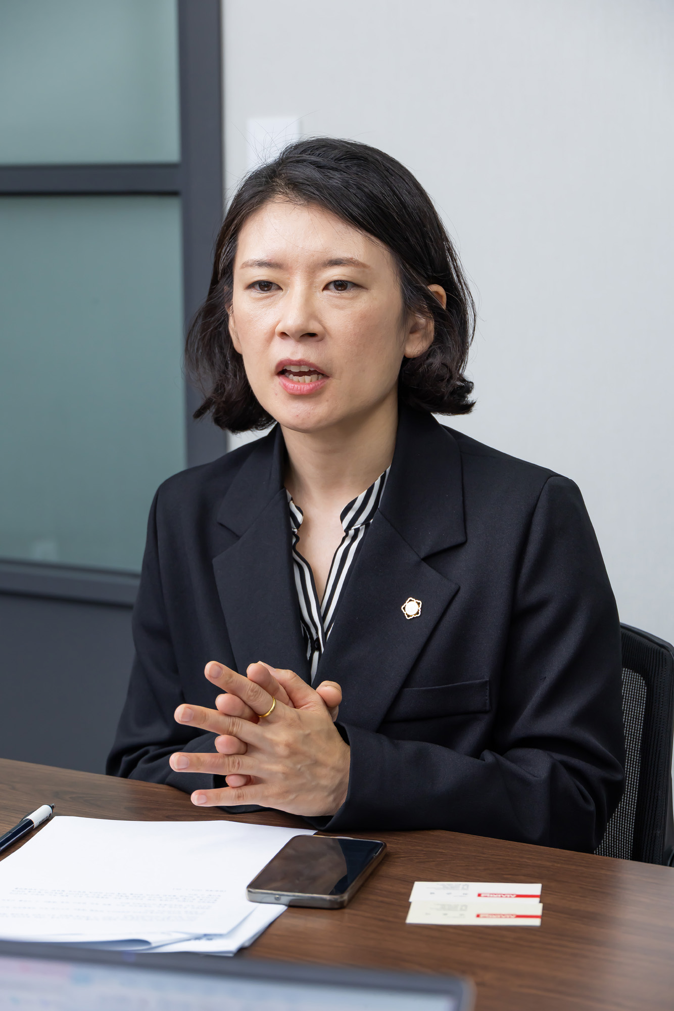 정치;정당;조국혁신당;배수진변호사;배수진조국혁신당당헌당규제개정위원장;법무법인율플러스;검찰개혁;문재인정부부동산통계조작의혹사건