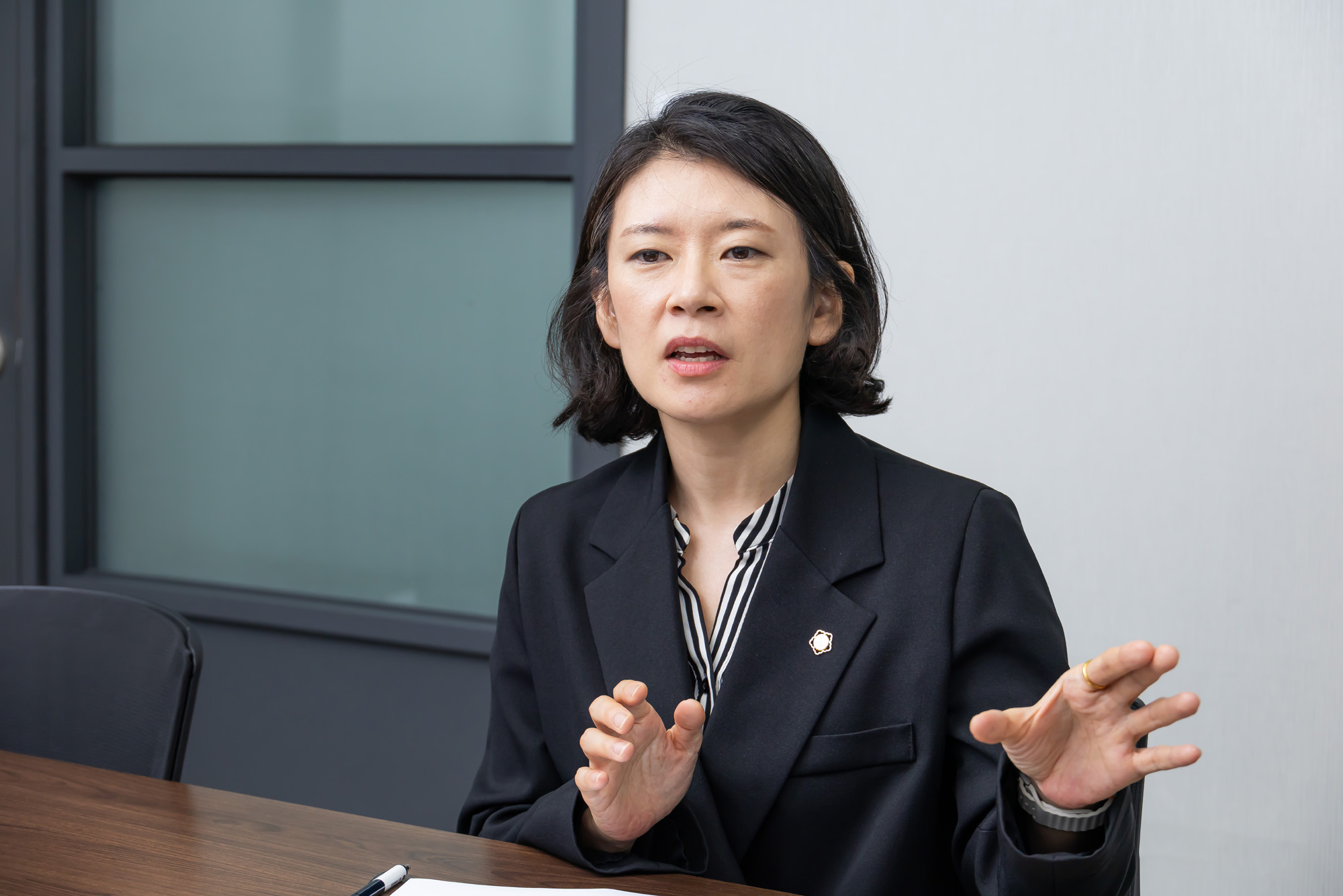 정치;정당;조국혁신당;배수진변호사;배수진조국혁신당당헌당규제개정위원장;법무법인율플러스;검찰개혁;문재인정부부동산통계조작의혹사건