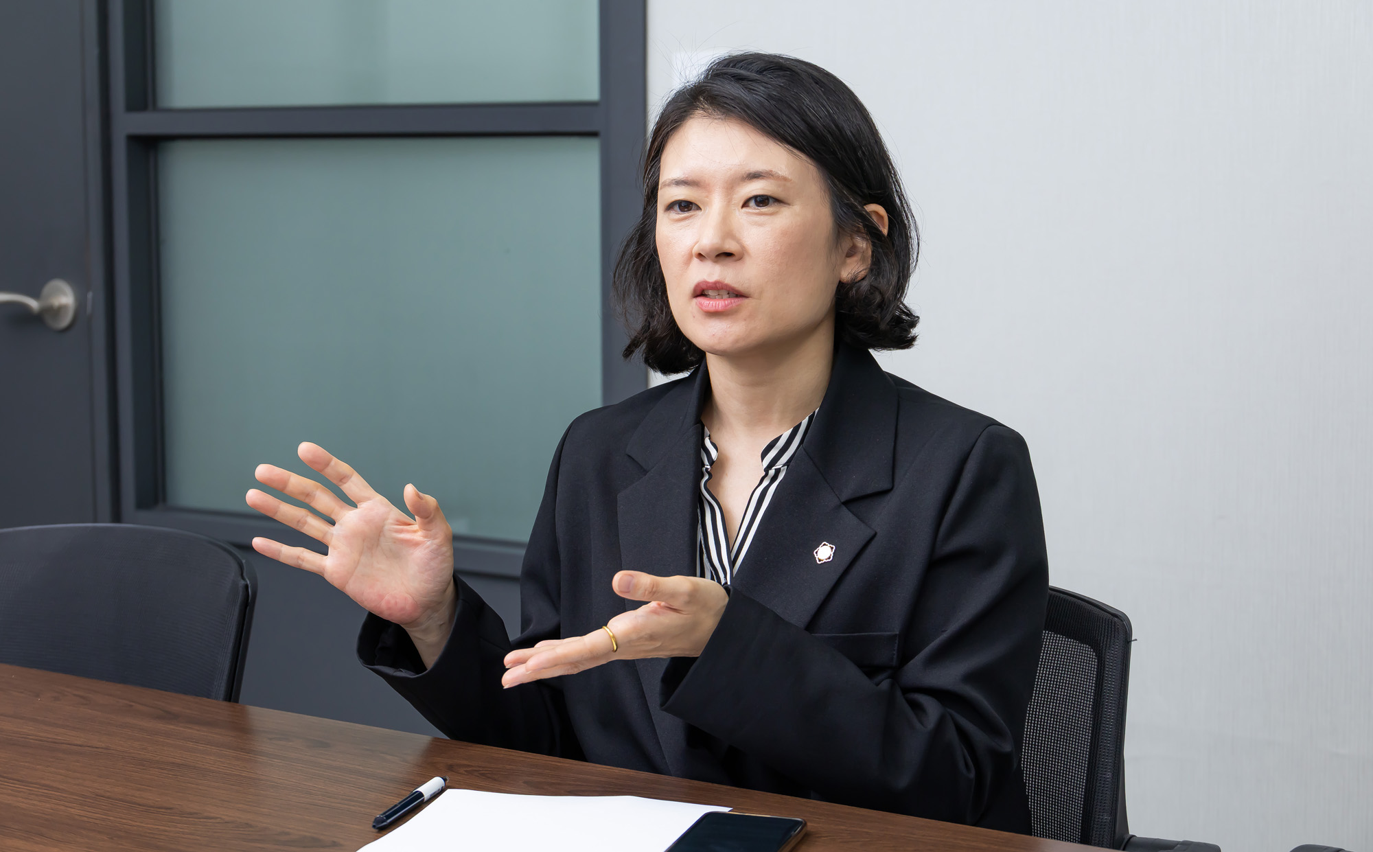 정치;정당;조국혁신당;배수진변호사;배수진조국혁신당당헌당규제개정위원장;법무법인율플러스;검찰개혁;문재인정부부동산통계조작의혹사건