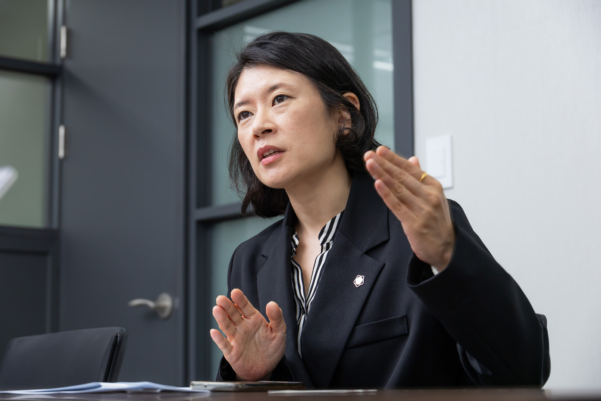 정치;정당;조국혁신당;배수진변호사;배수진조국혁신당당헌당규제개정위원장;법무법인율플러스;검찰개혁;문재인정부부동산통계조작의혹사건