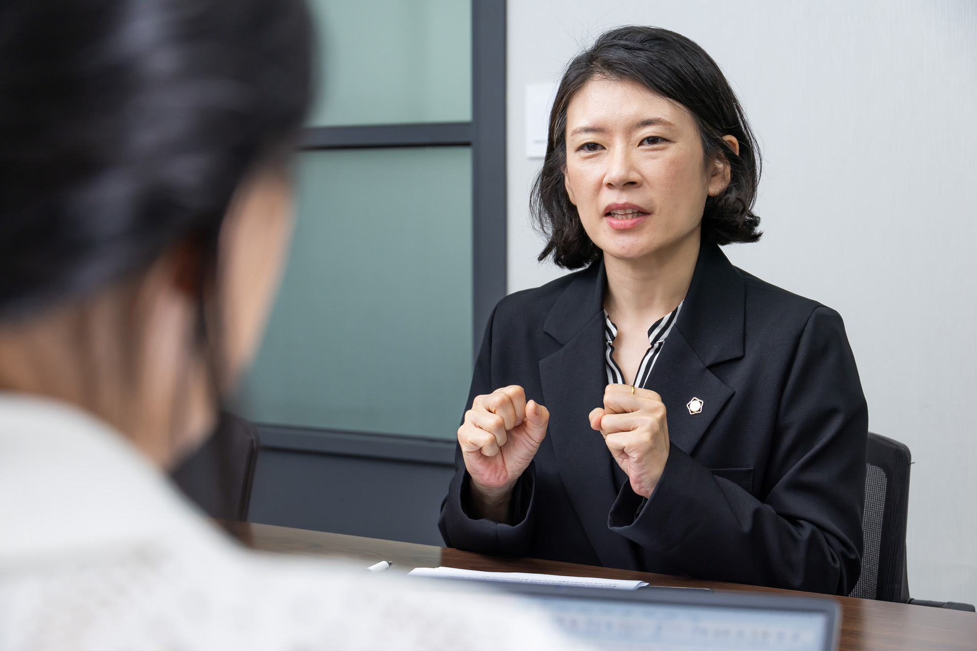 정치;정당;조국혁신당;배수진변호사;배수진조국혁신당당헌당규제개정위원장;법무법인율플러스;검찰개혁;문재인정부부동산통계조작의혹사건