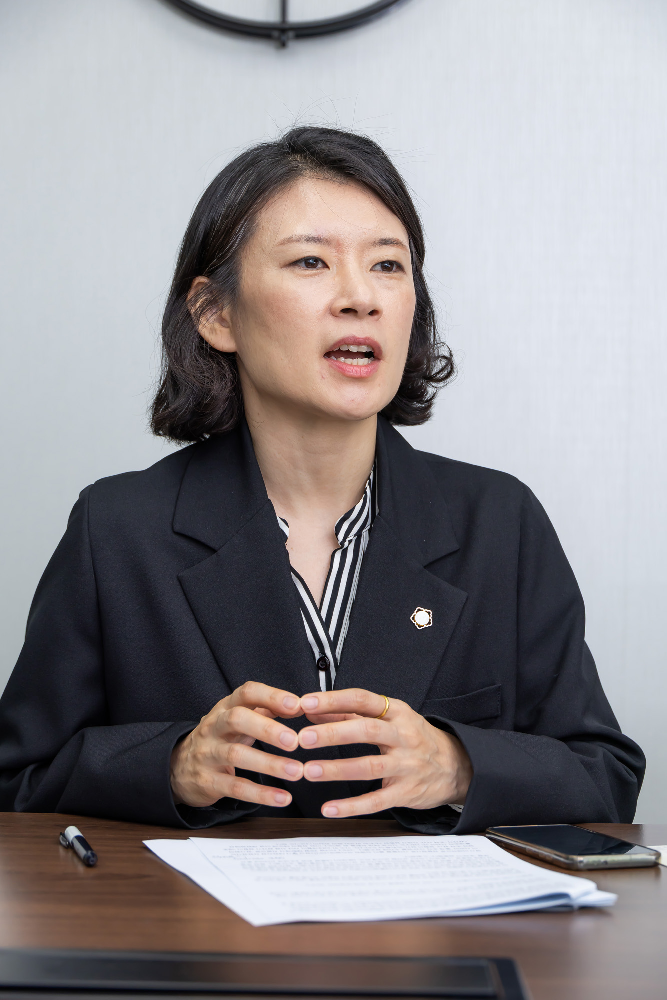 정치;정당;조국혁신당;배수진변호사;배수진조국혁신당당헌당규제개정위원장;법무법인율플러스;검찰개혁;문재인정부부동산통계조작의혹사건