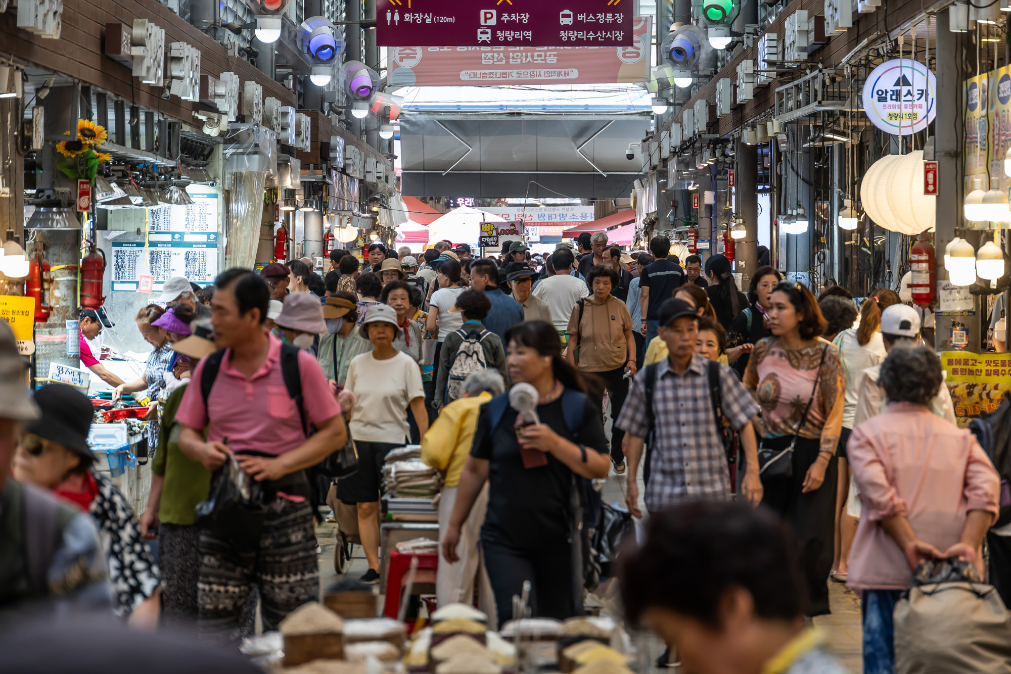사회;경제;세태;민생회복소비쿠폰;재난지원금;소상공인지원;청량리종합시장;민생회복지원금;전통시장민생회복소비쿠폰