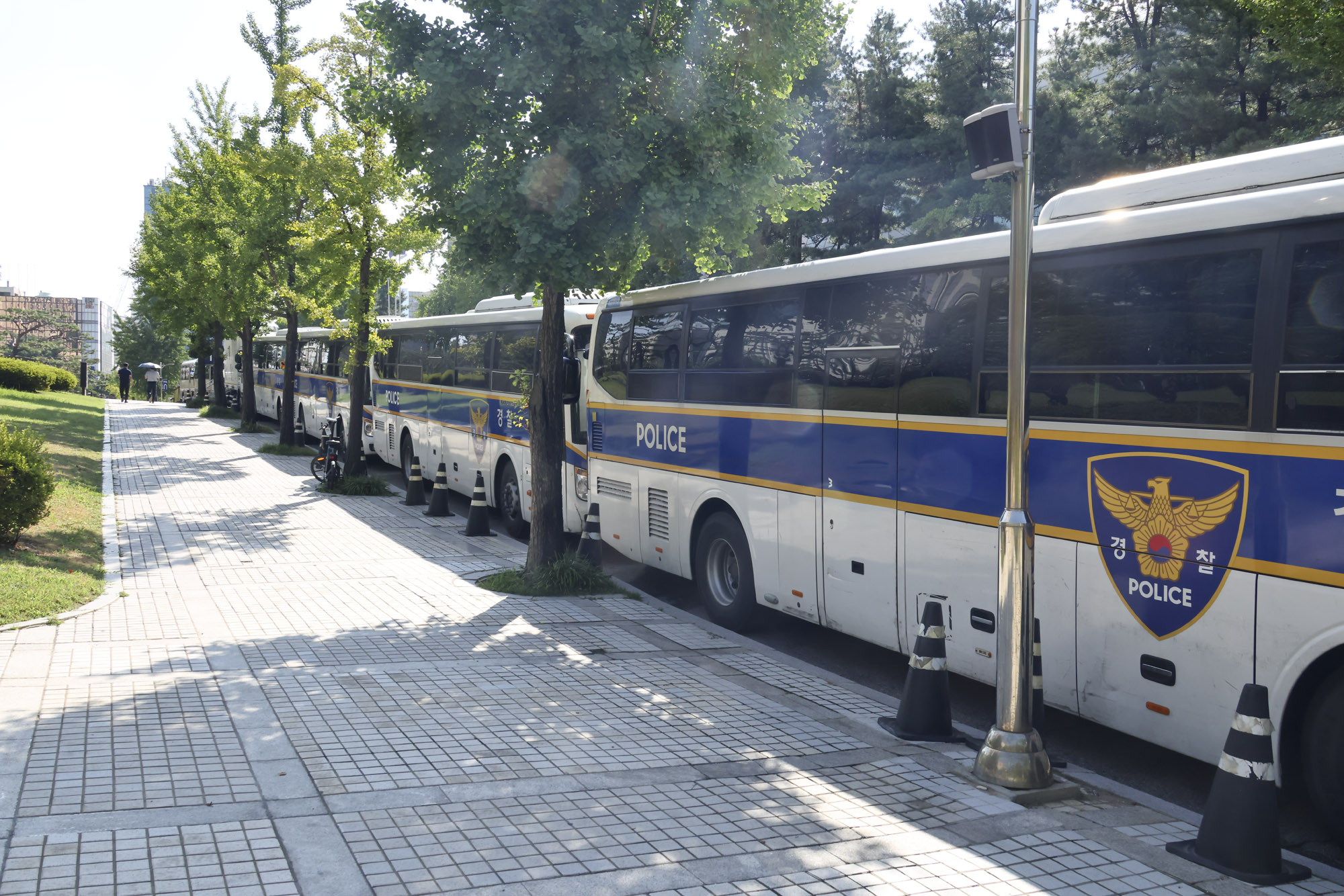 김건희영장실질심사;김건희;중앙지법