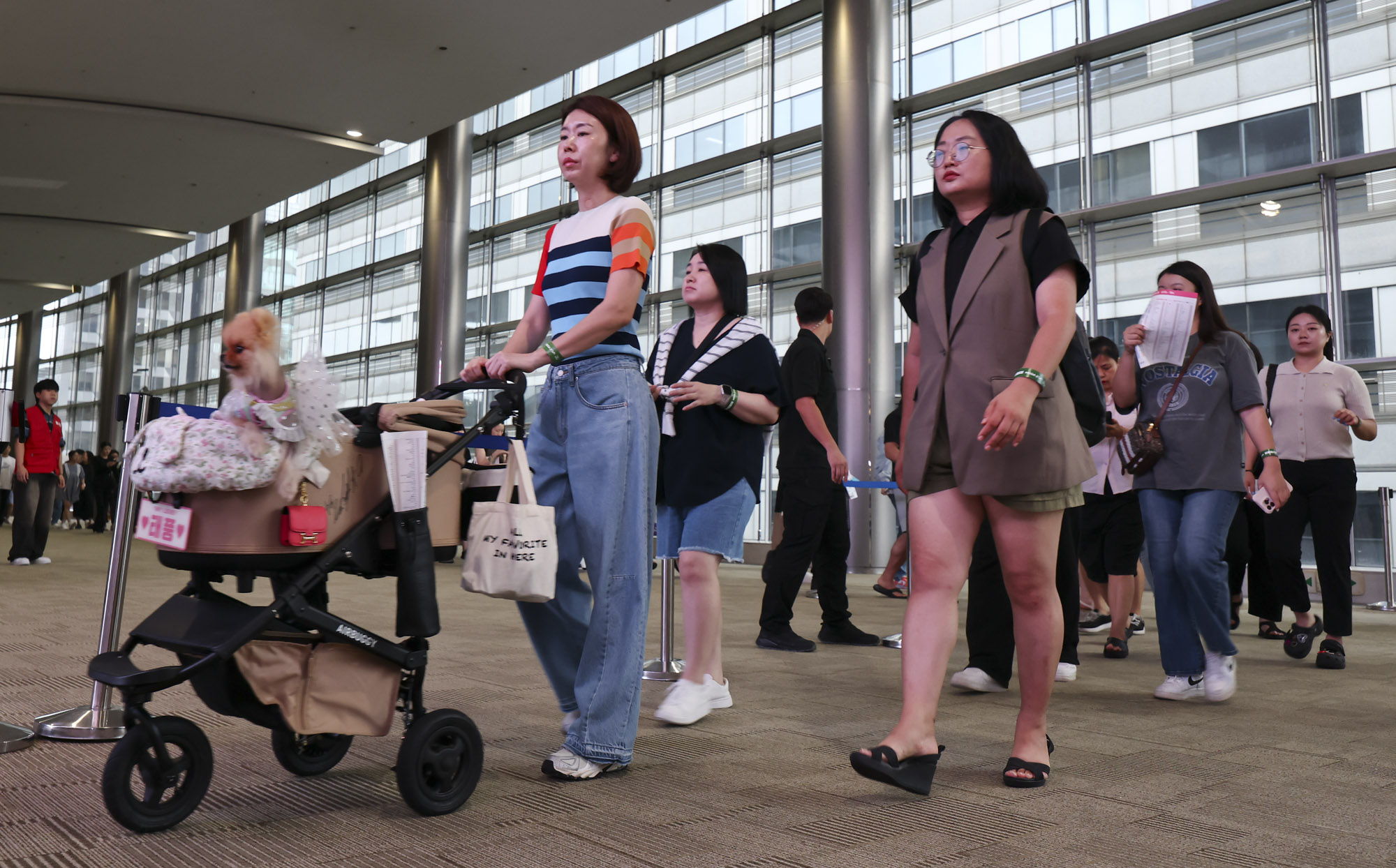 케이펫;애견;고양이;강아지;개;애완동물;반려동물