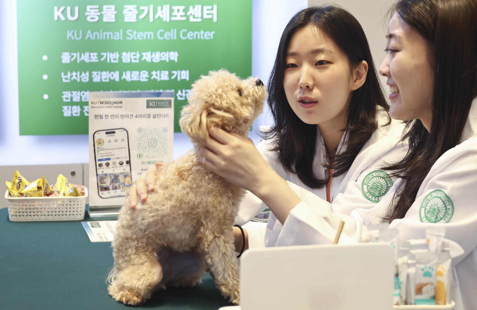 케이펫;애견;고양이;강아지;개;애완동물;반려동물