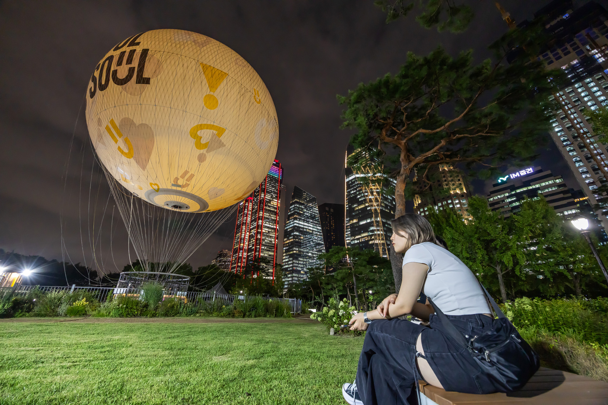 사회;세태;서울달;보름달모양기구;여의도공원;서울관광명소;서울달야경