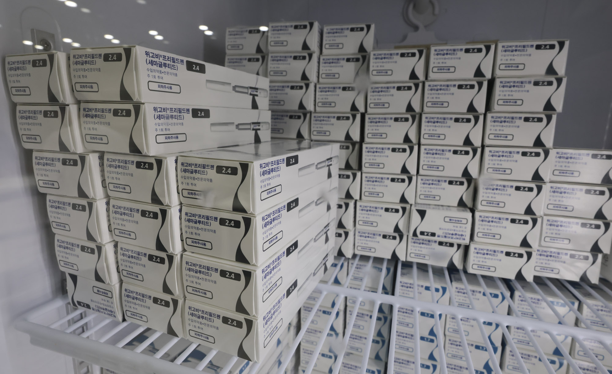 마운자로;위고비;비만약