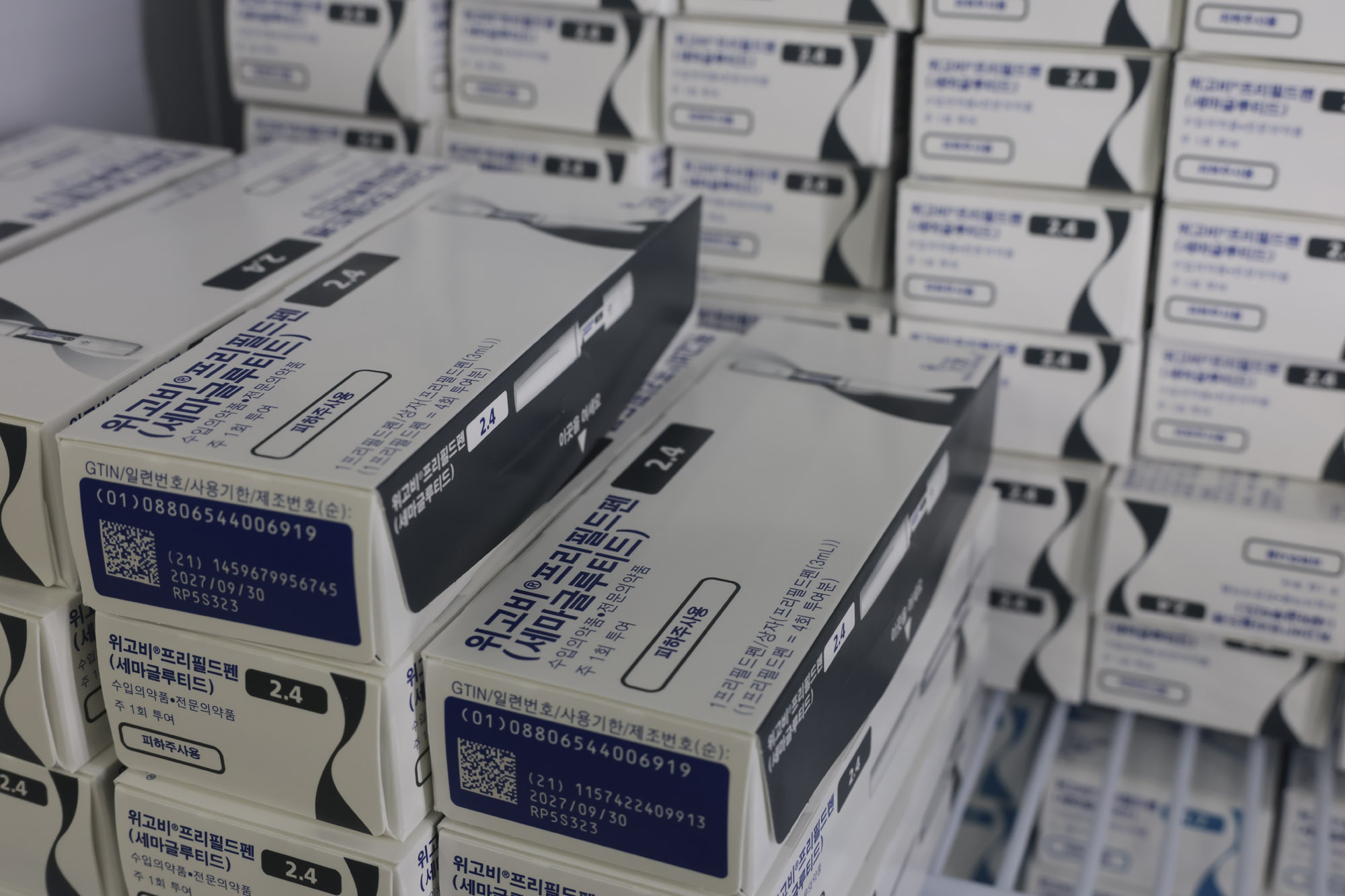 마운자로;위고비;비만약