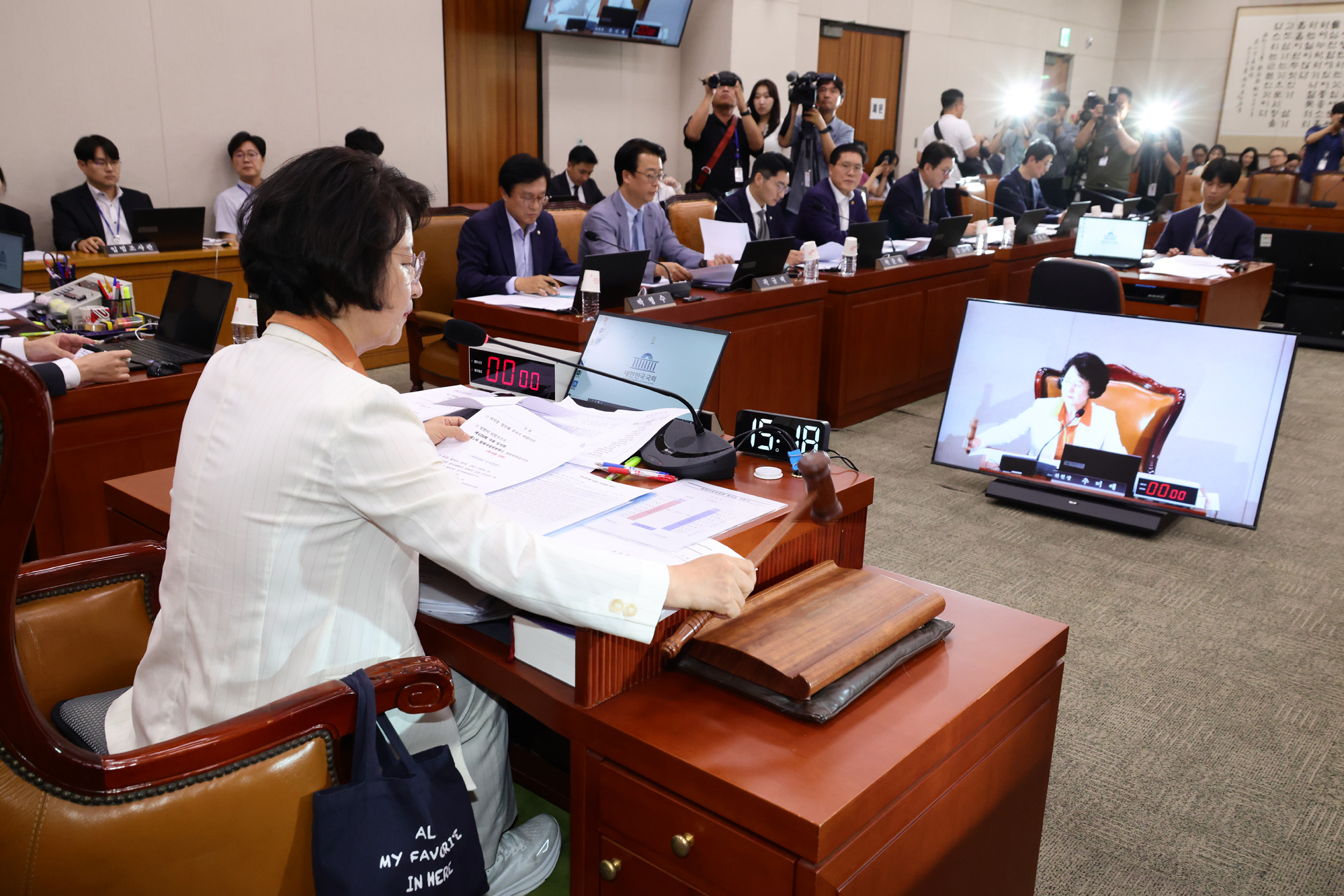 정치;국회;법사위;법제사법위원회;추미애