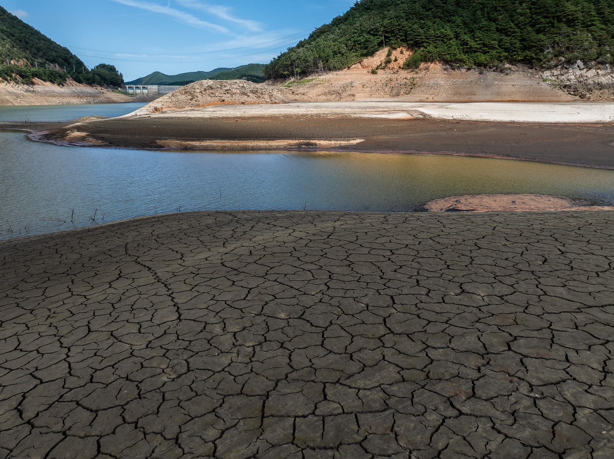 사회;자연재해;여름가뭄;사건사고;세태;강릉재난사태선포;강릉가뭄;강릉재난사태현장;강릉최악가뭄;강릉오봉저수지가뭄;강릉안반데기배추밭가뭄