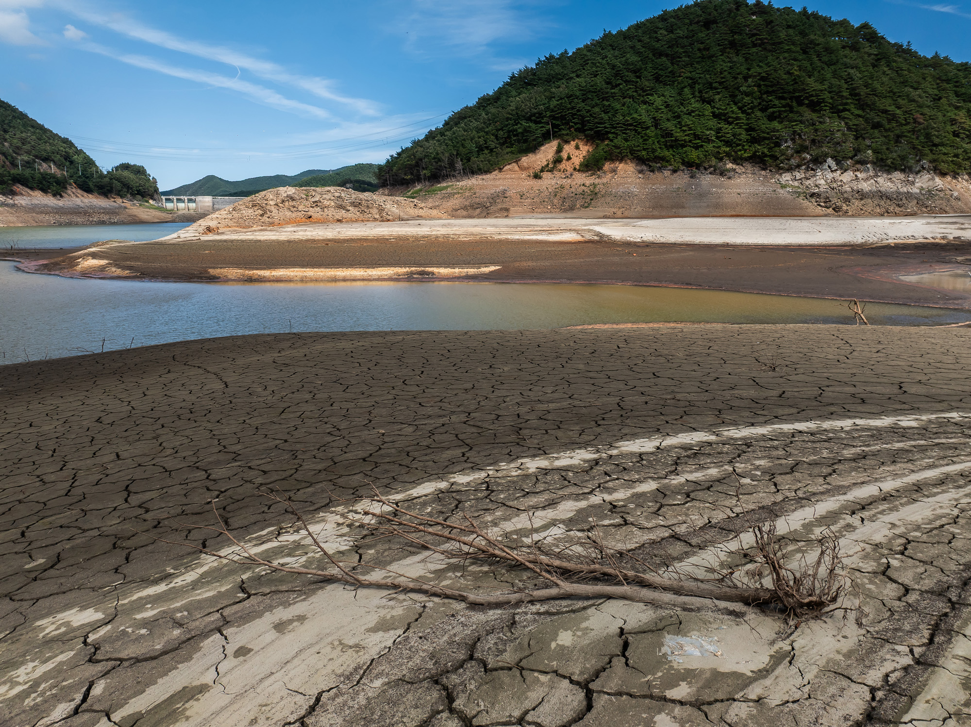 사회;자연재해;여름가뭄;사건사고;세태;강릉재난사태선포;강릉가뭄;강릉재난사태현장;강릉최악가뭄;강릉오봉저수지가뭄;강릉안반데기배추밭가뭄