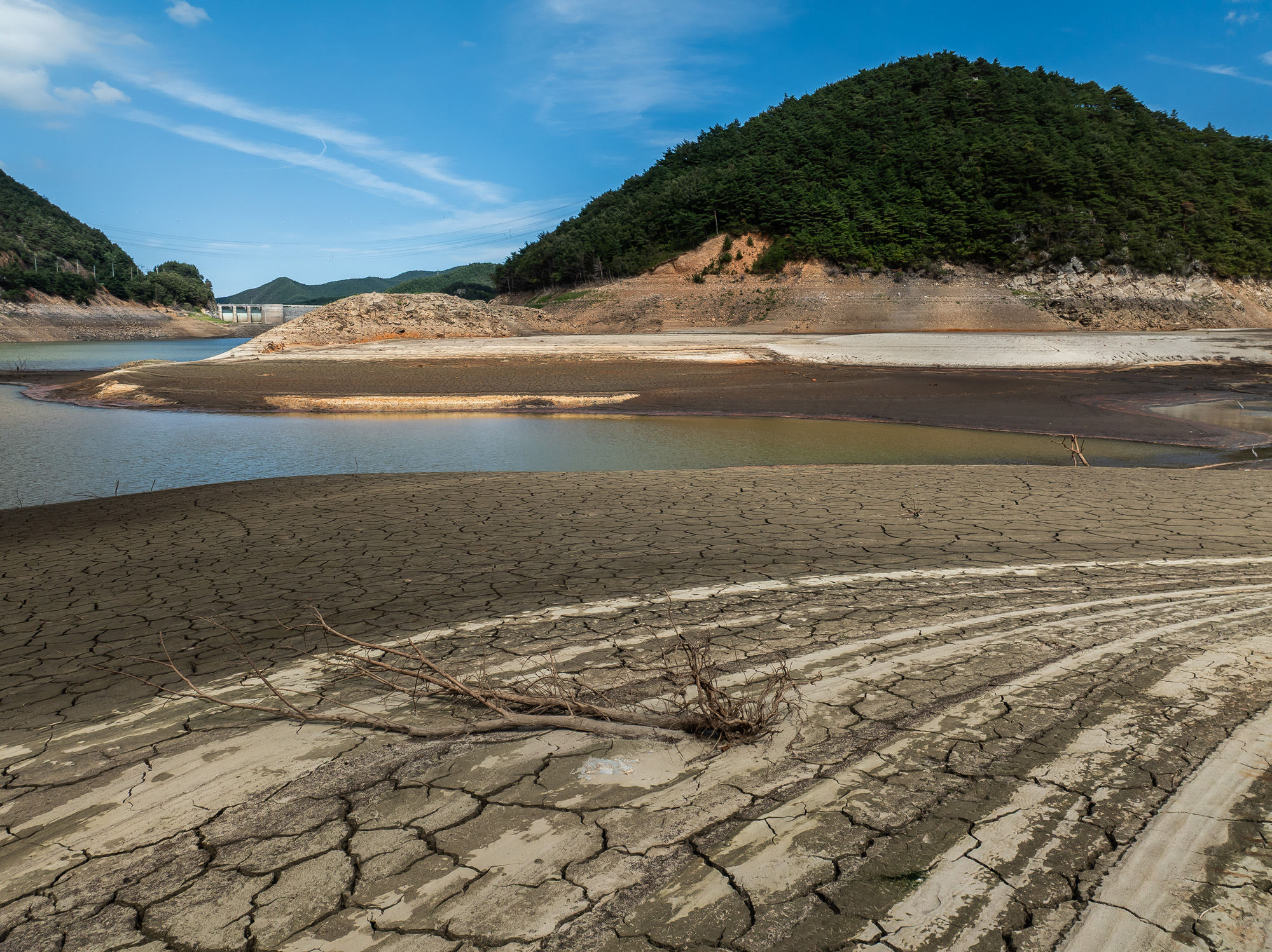 사회;자연재해;여름가뭄;사건사고;세태;강릉재난사태선포;강릉가뭄;강릉재난사태현장;강릉최악가뭄;강릉오봉저수지가뭄;강릉안반데기배추밭가뭄