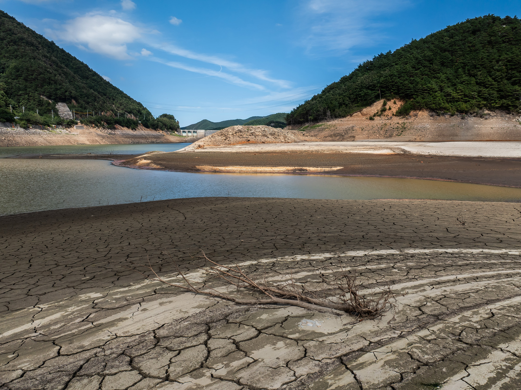 사회;자연재해;여름가뭄;사건사고;세태;강릉재난사태선포;강릉가뭄;강릉재난사태현장;강릉최악가뭄;강릉오봉저수지가뭄;강릉안반데기배추밭가뭄