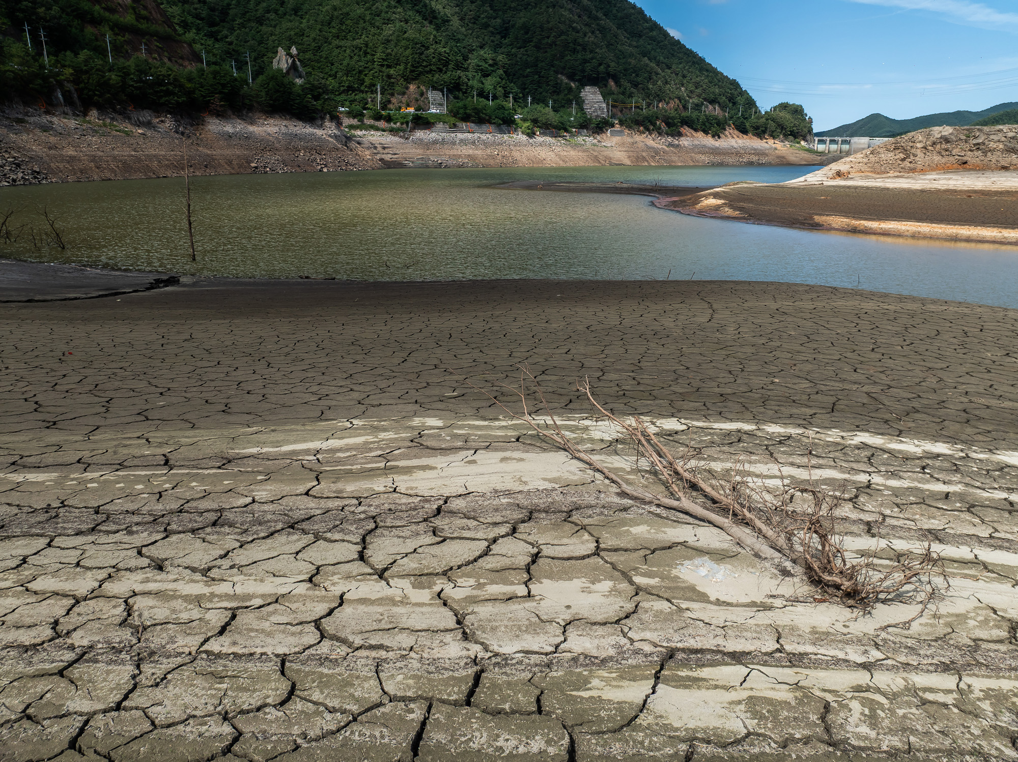 사회;자연재해;여름가뭄;사건사고;세태;강릉재난사태선포;강릉가뭄;강릉재난사태현장;강릉최악가뭄;강릉오봉저수지가뭄;강릉안반데기배추밭가뭄