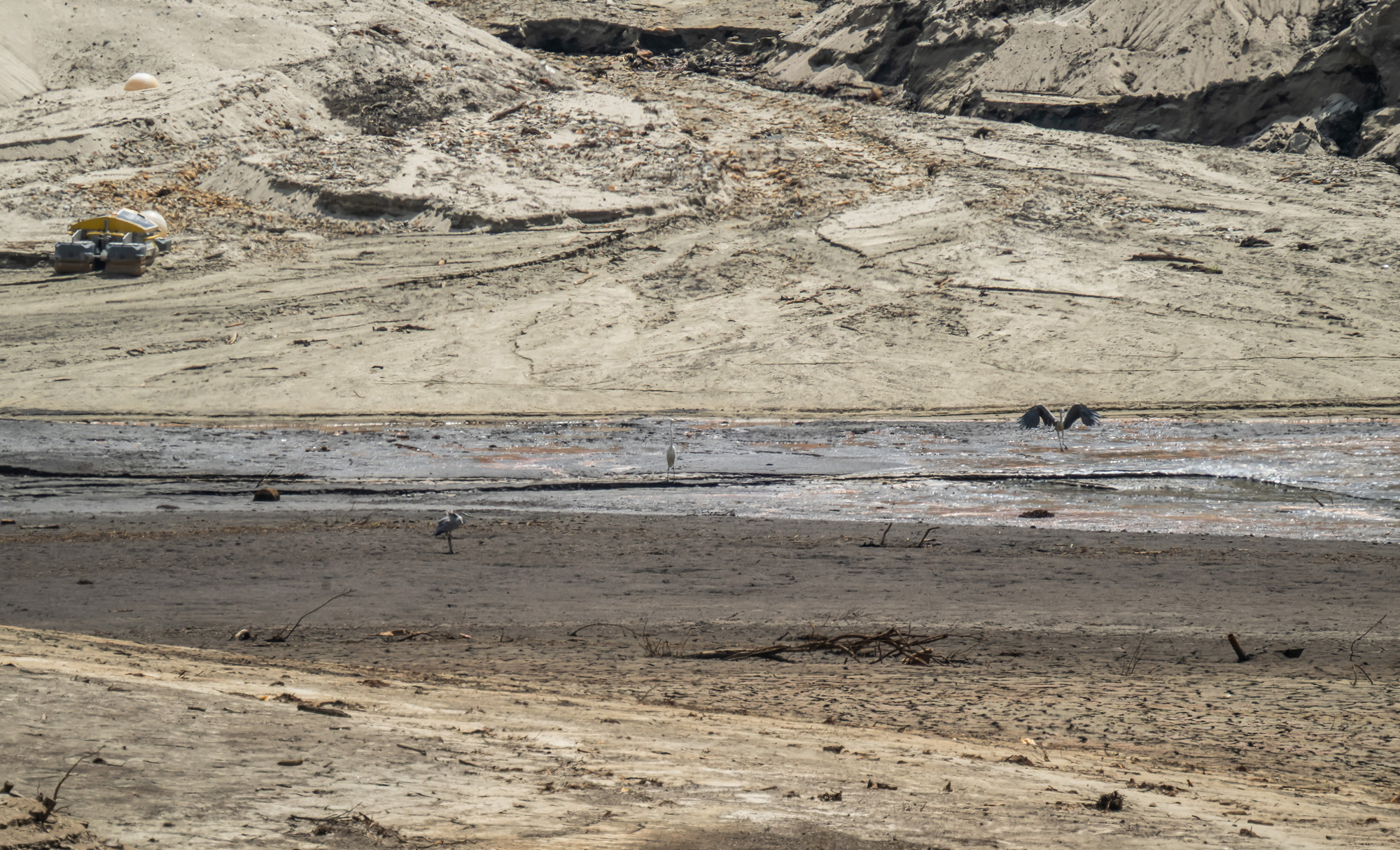 사회;자연재해;여름가뭄;사건사고;세태;강릉재난사태선포;강릉가뭄;강릉재난사태현장;강릉최악가뭄;강릉오봉저수지가뭄;강릉안반데기배추밭가뭄