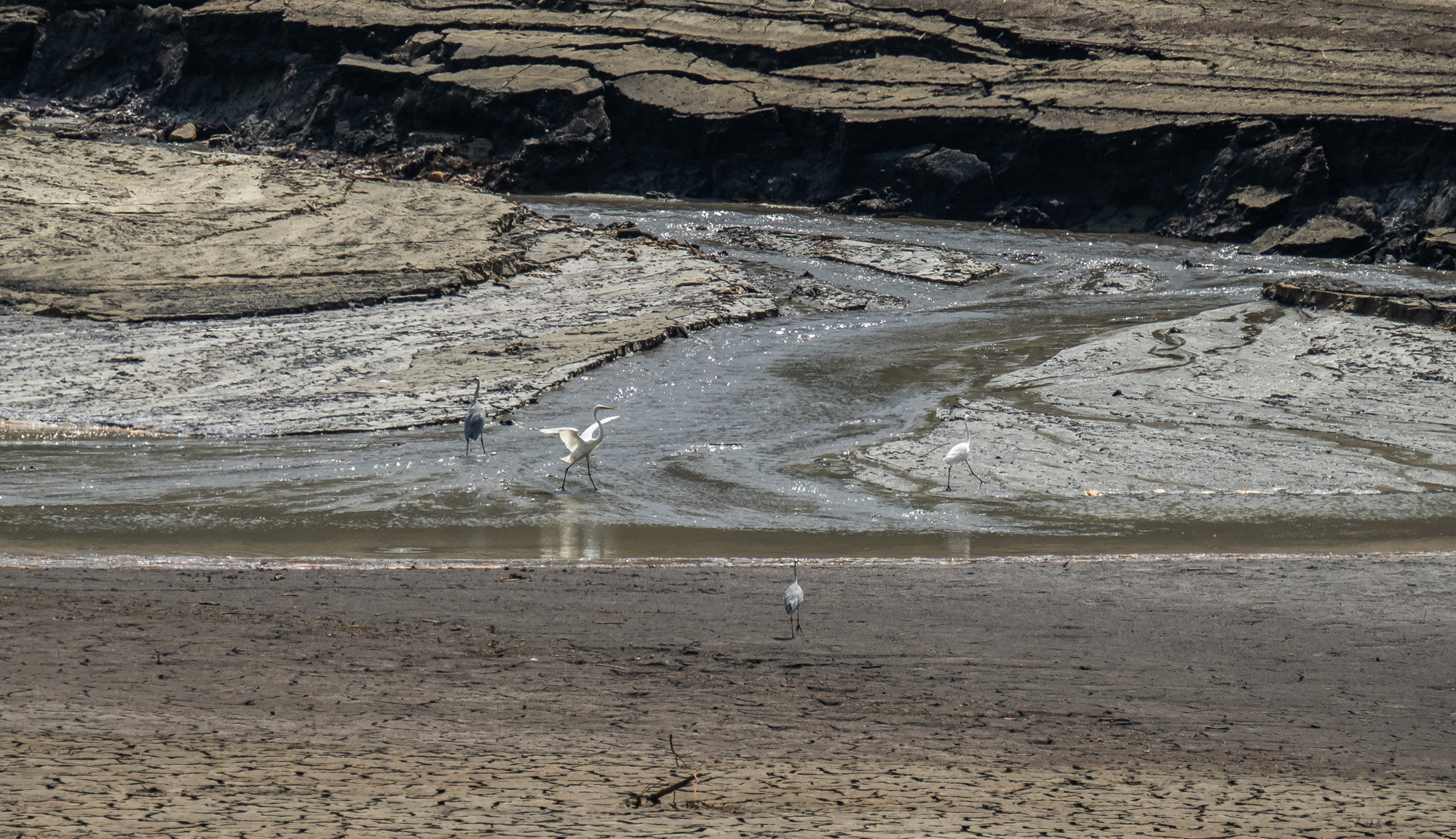 사회;자연재해;여름가뭄;사건사고;세태;강릉재난사태선포;강릉가뭄;강릉재난사태현장;강릉최악가뭄;강릉오봉저수지가뭄;강릉안반데기배추밭가뭄