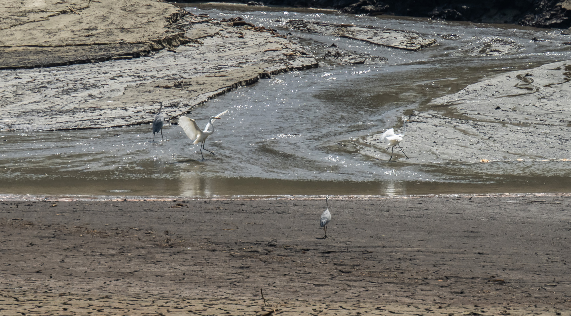 사회;자연재해;여름가뭄;사건사고;세태;강릉재난사태선포;강릉가뭄;강릉재난사태현장;강릉최악가뭄;강릉오봉저수지가뭄;강릉안반데기배추밭가뭄
