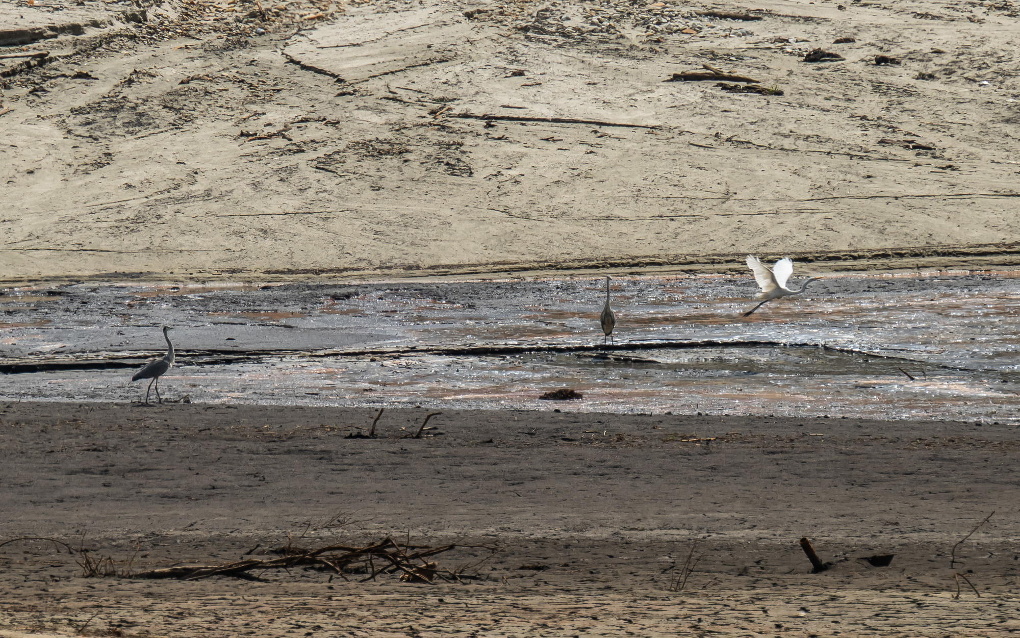 사회;자연재해;여름가뭄;사건사고;세태;강릉재난사태선포;강릉가뭄;강릉재난사태현장;강릉최악가뭄;강릉오봉저수지가뭄;강릉안반데기배추밭가뭄