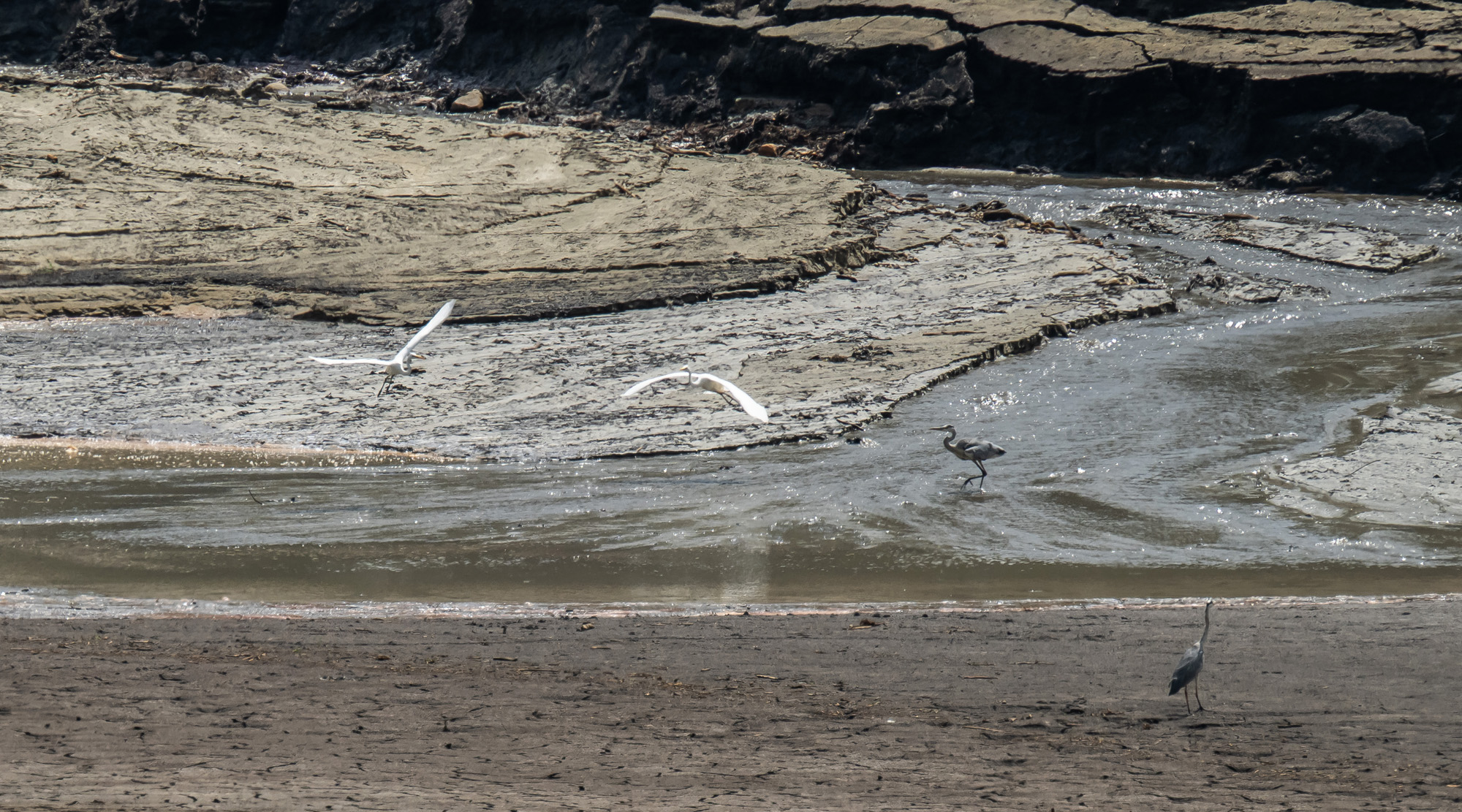 사회;자연재해;여름가뭄;사건사고;세태;강릉재난사태선포;강릉가뭄;강릉재난사태현장;강릉최악가뭄;강릉오봉저수지가뭄;강릉안반데기배추밭가뭄