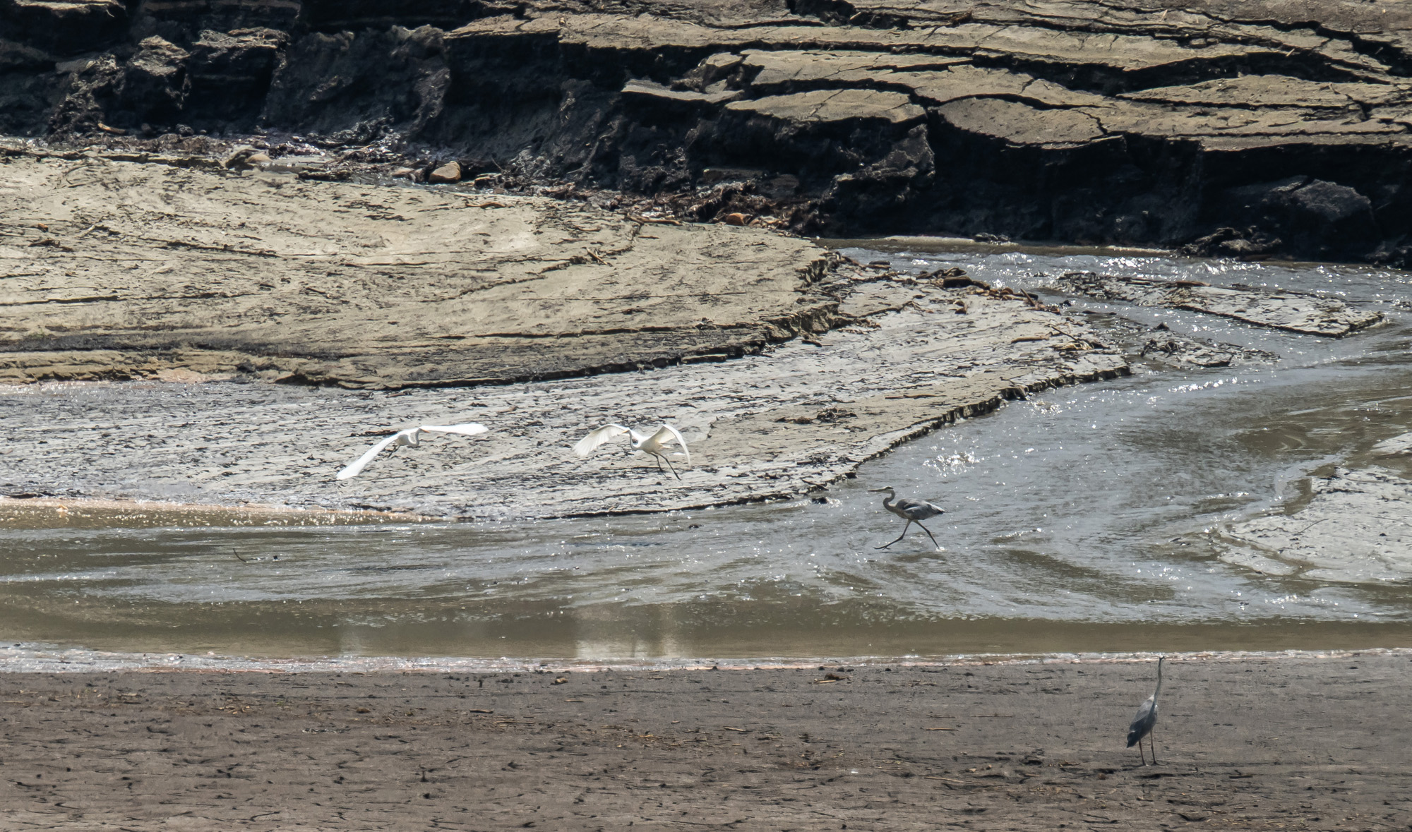 사회;자연재해;여름가뭄;사건사고;세태;강릉재난사태선포;강릉가뭄;강릉재난사태현장;강릉최악가뭄;강릉오봉저수지가뭄;강릉안반데기배추밭가뭄