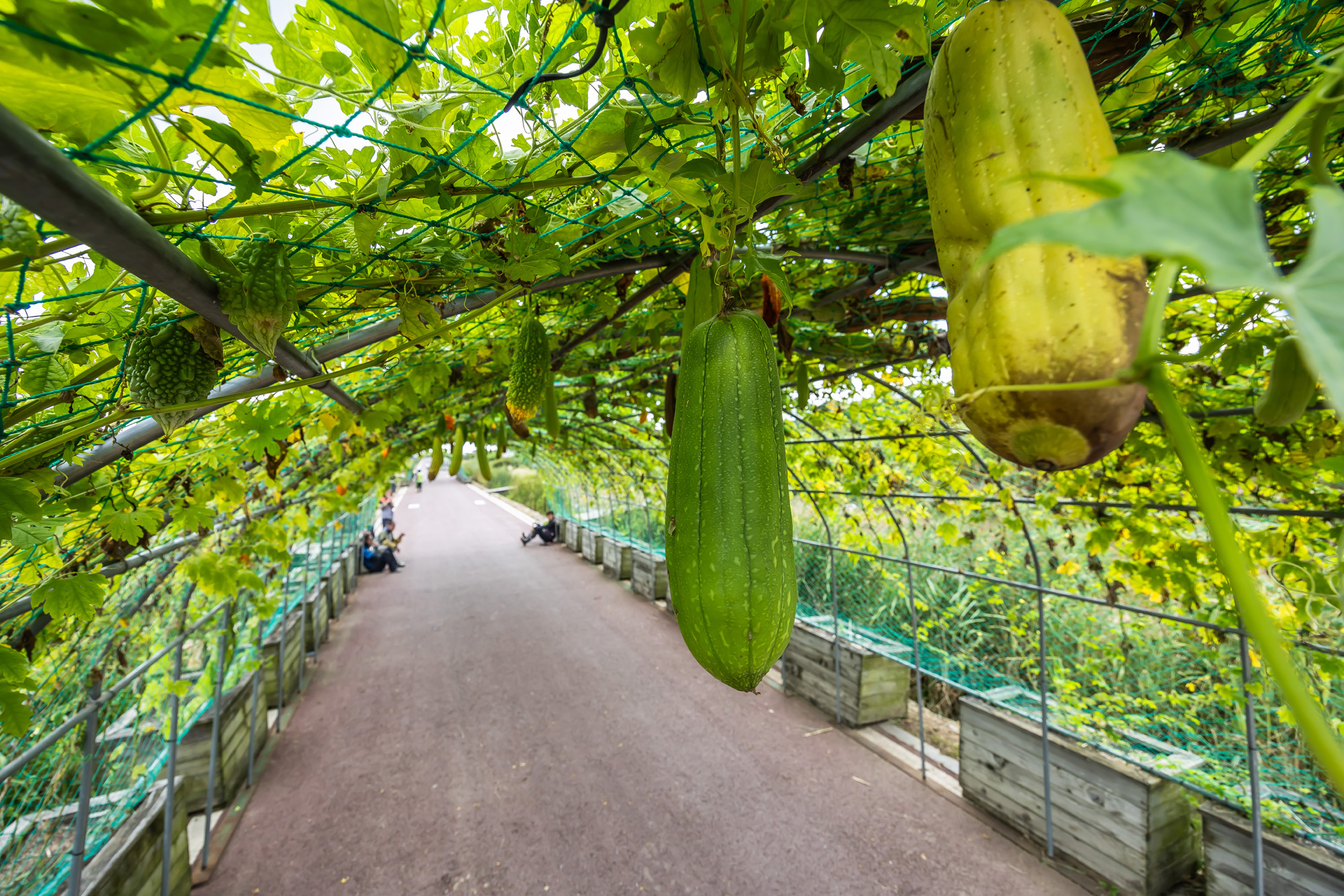 사회;계절;계절스케치;가을스케치;가을무더위;하늘공원;하늘공원가을스케치