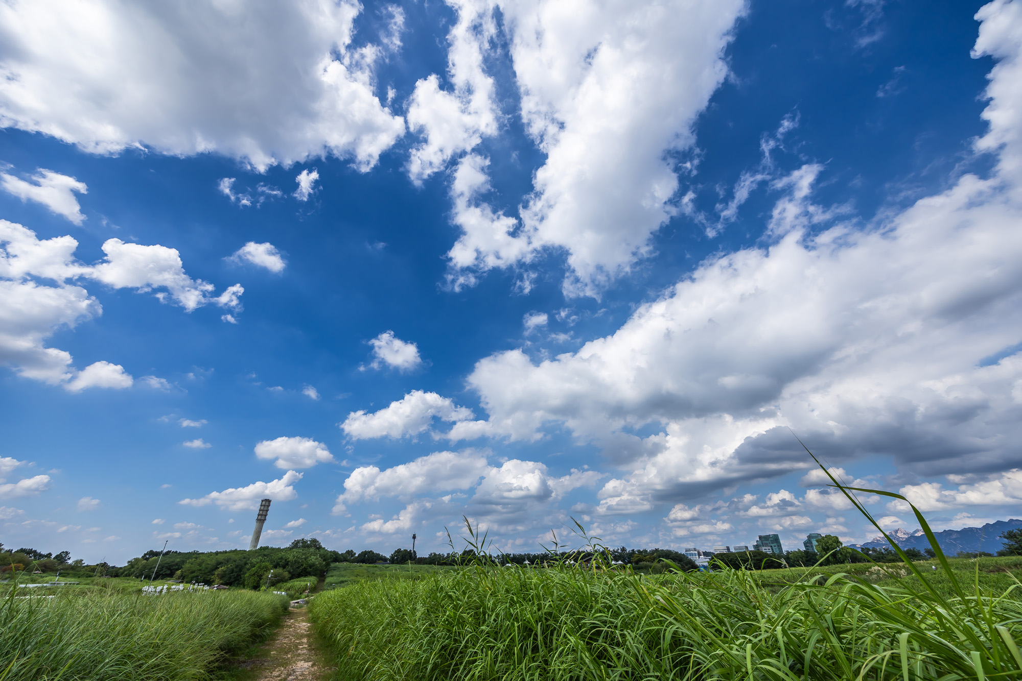 사회;계절;계절스케치;가을스케치;가을무더위;하늘공원;하늘공원가을스케치