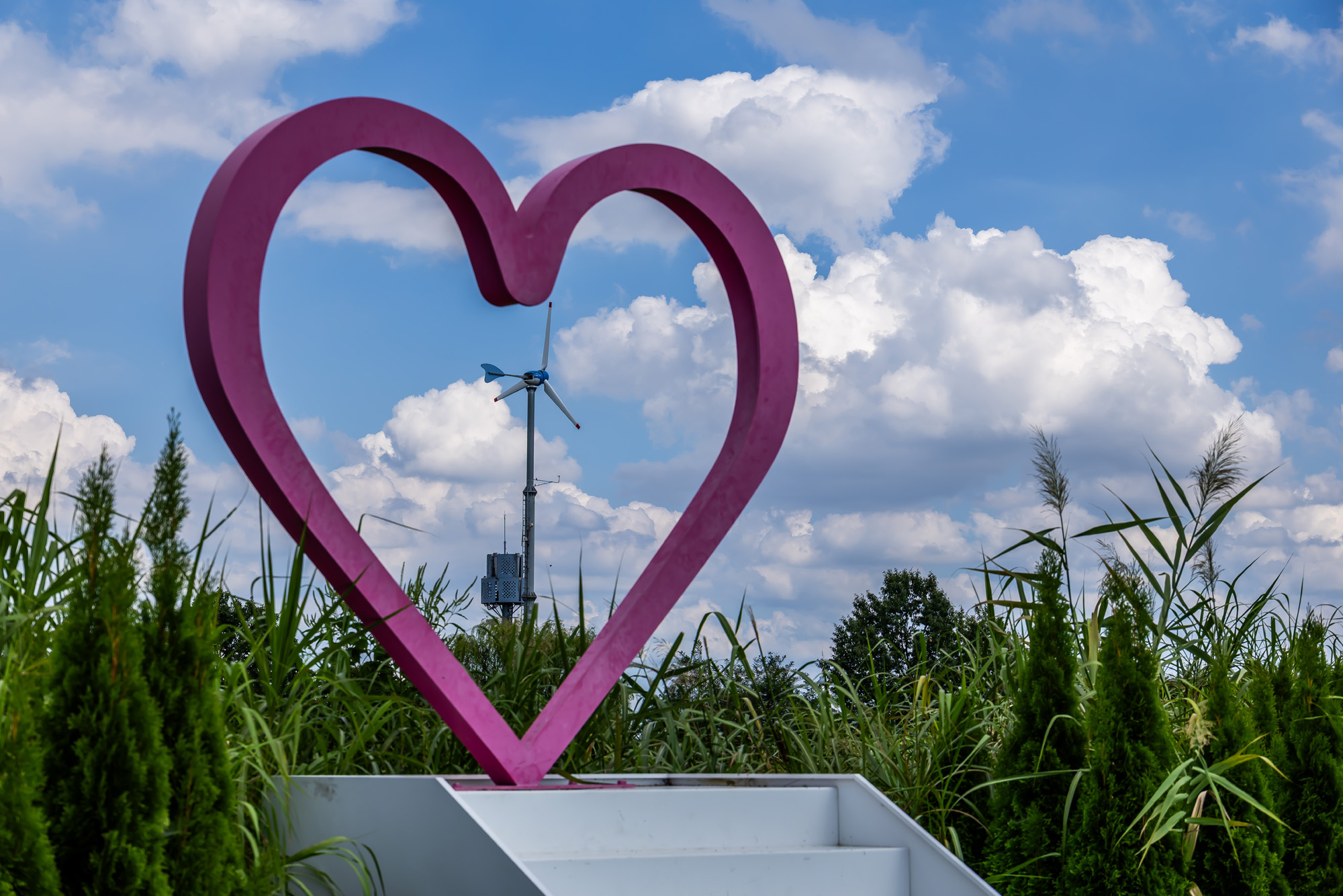 사회;계절;계절스케치;가을스케치;가을무더위;하늘공원;하늘공원가을스케치