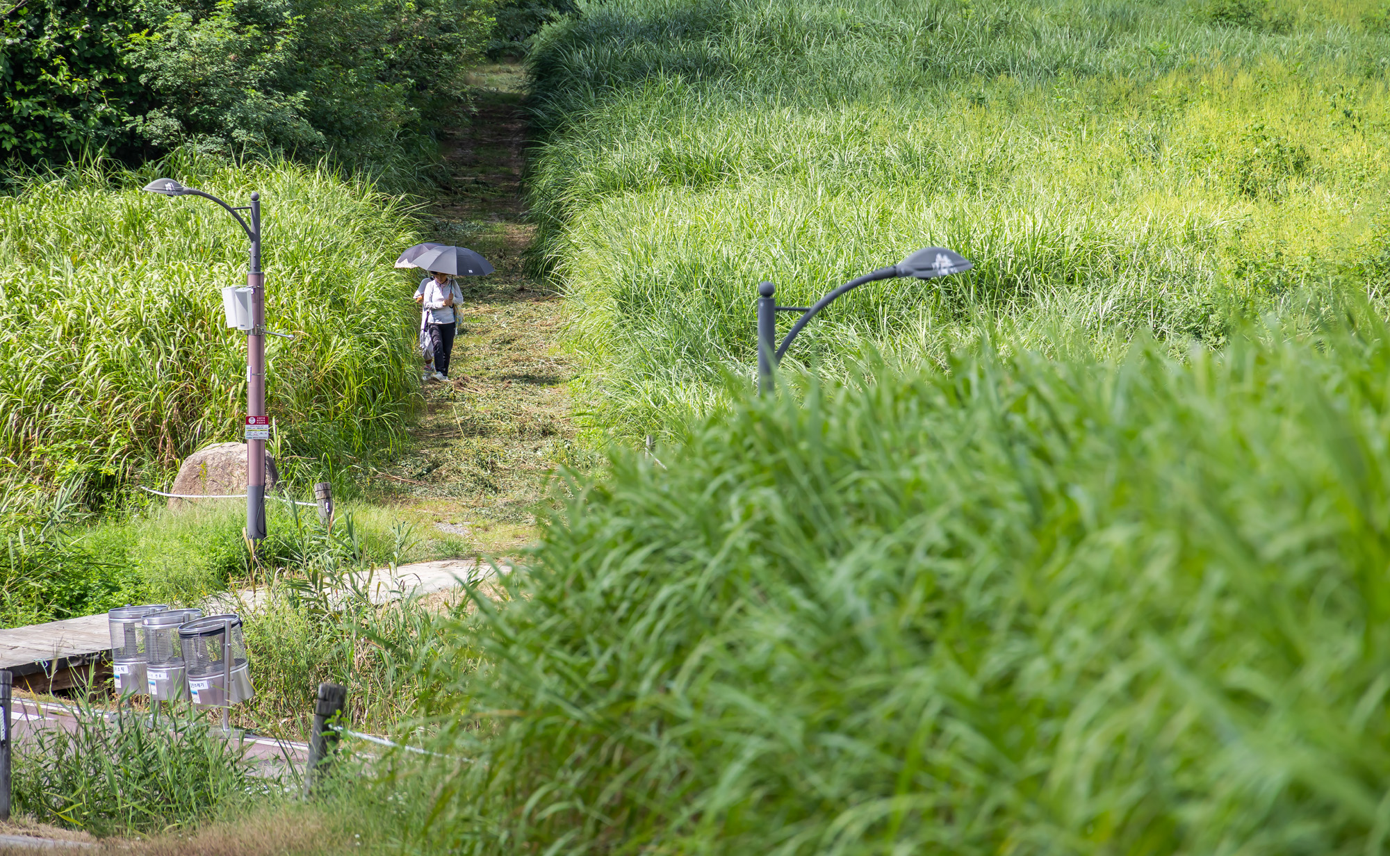 사회;계절;계절스케치;가을스케치;가을무더위;하늘공원;하늘공원가을스케치