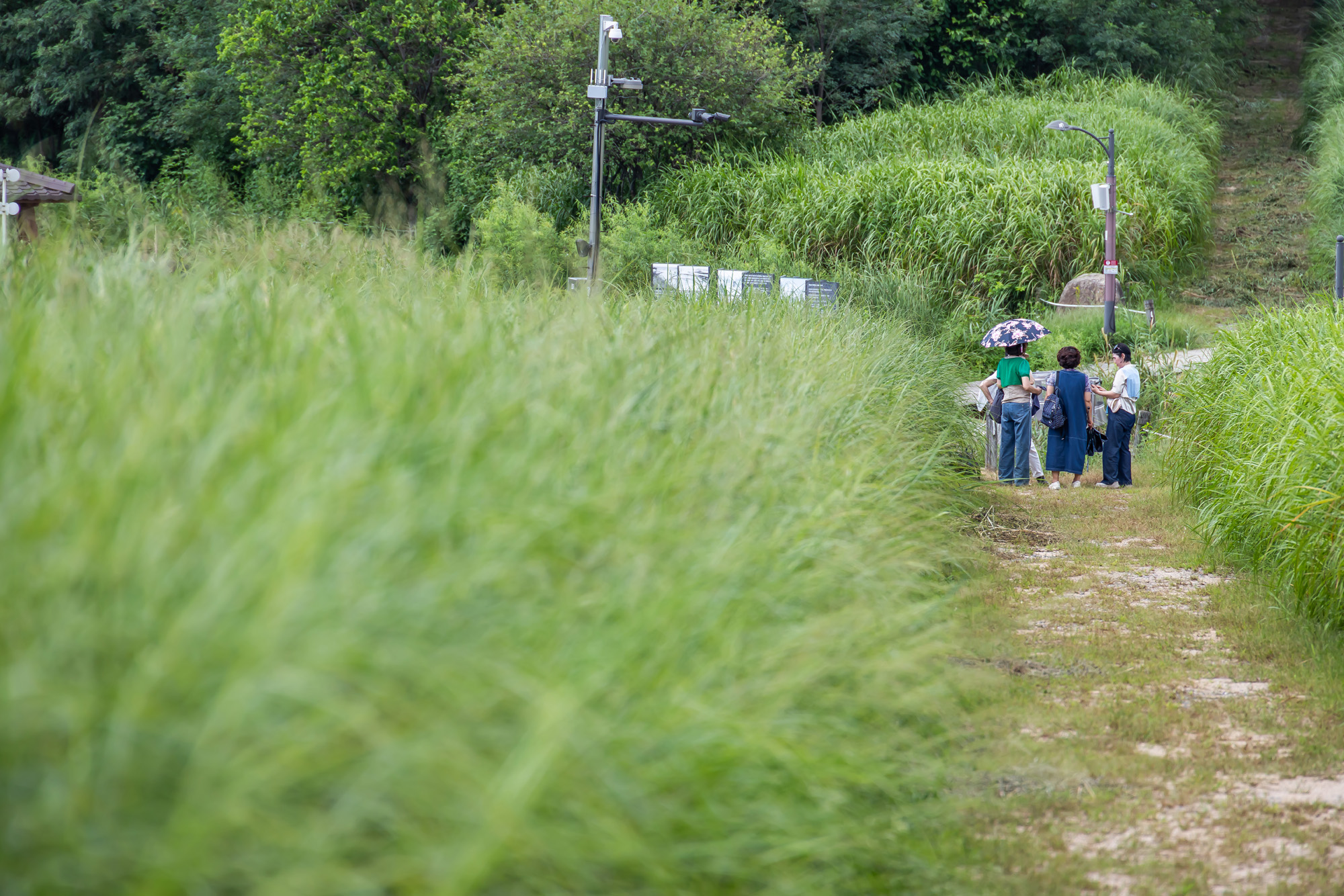 사회;계절;계절스케치;가을스케치;가을무더위;하늘공원;하늘공원가을스케치