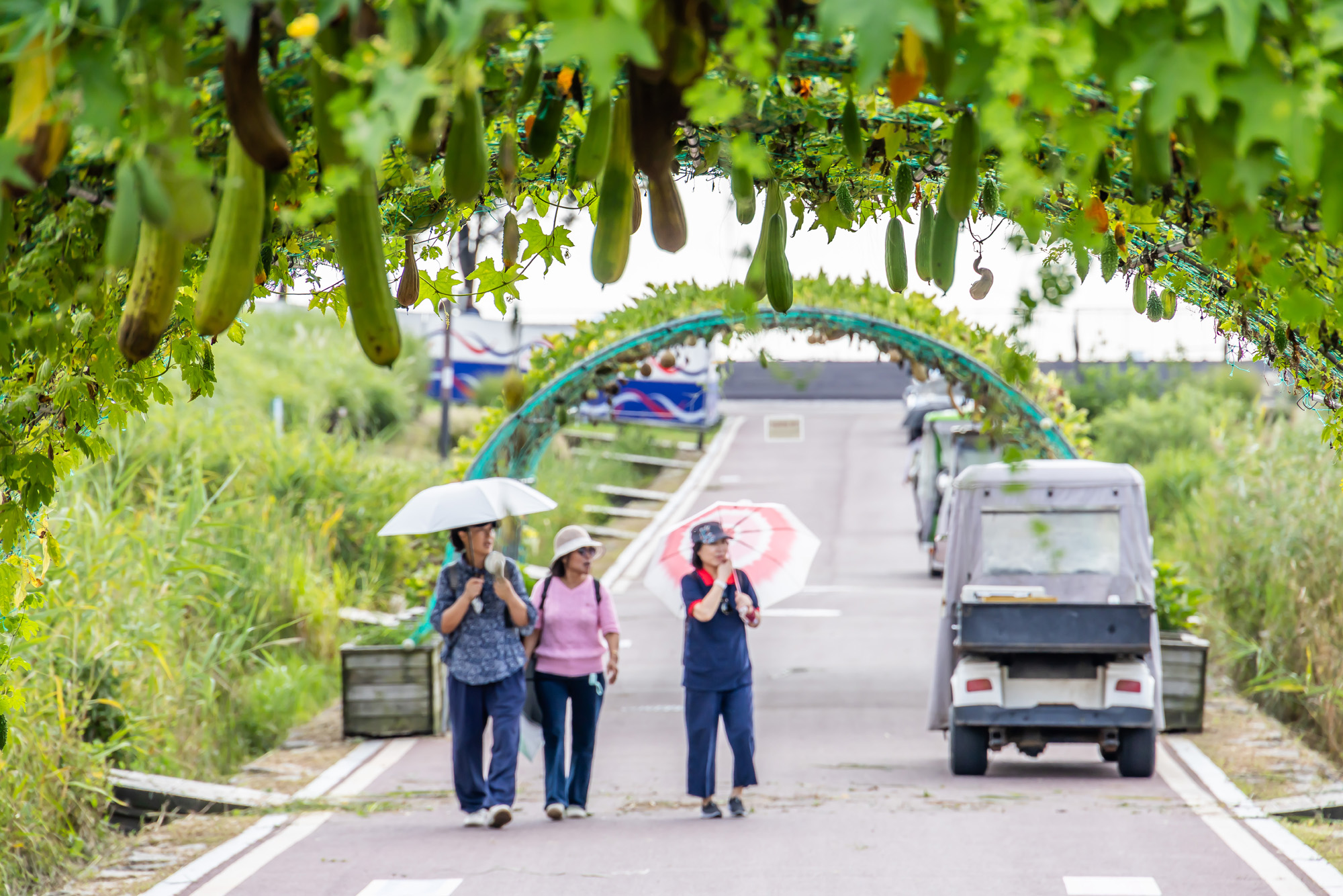 사회;계절;계절스케치;가을스케치;가을무더위;하늘공원;하늘공원가을스케치