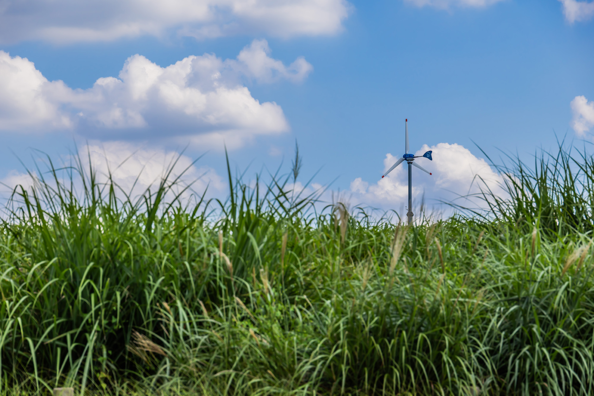 사회;계절;계절스케치;가을스케치;가을무더위;하늘공원;하늘공원가을스케치