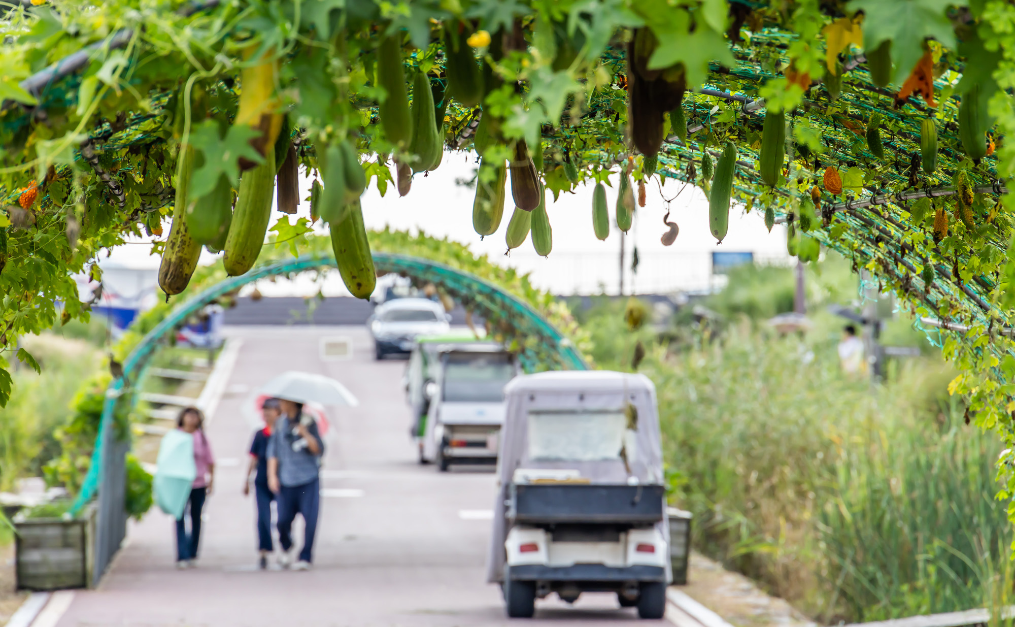 사회;계절;계절스케치;가을스케치;가을무더위;하늘공원;하늘공원가을스케치