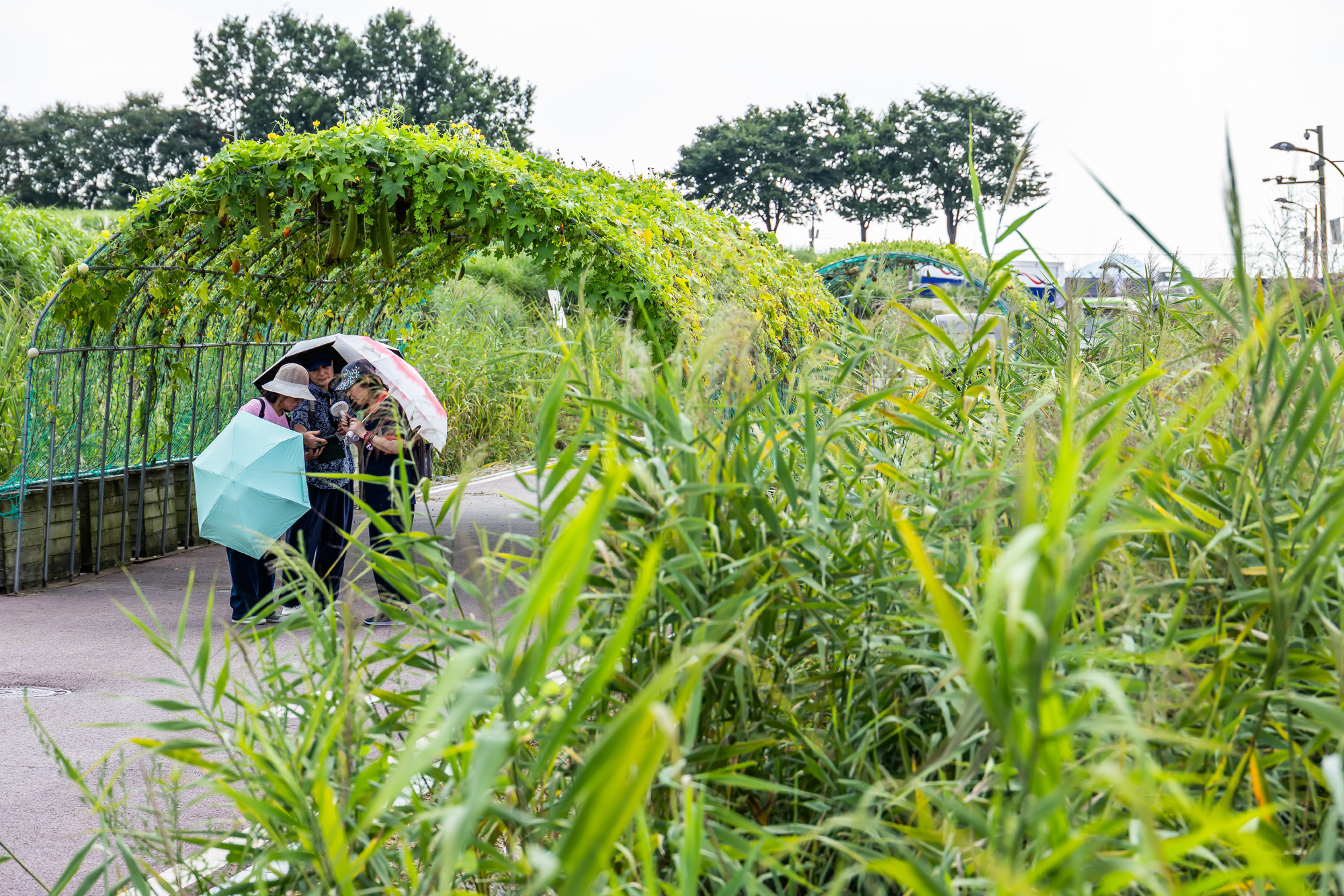 사회;계절;계절스케치;가을스케치;가을무더위;하늘공원;하늘공원가을스케치