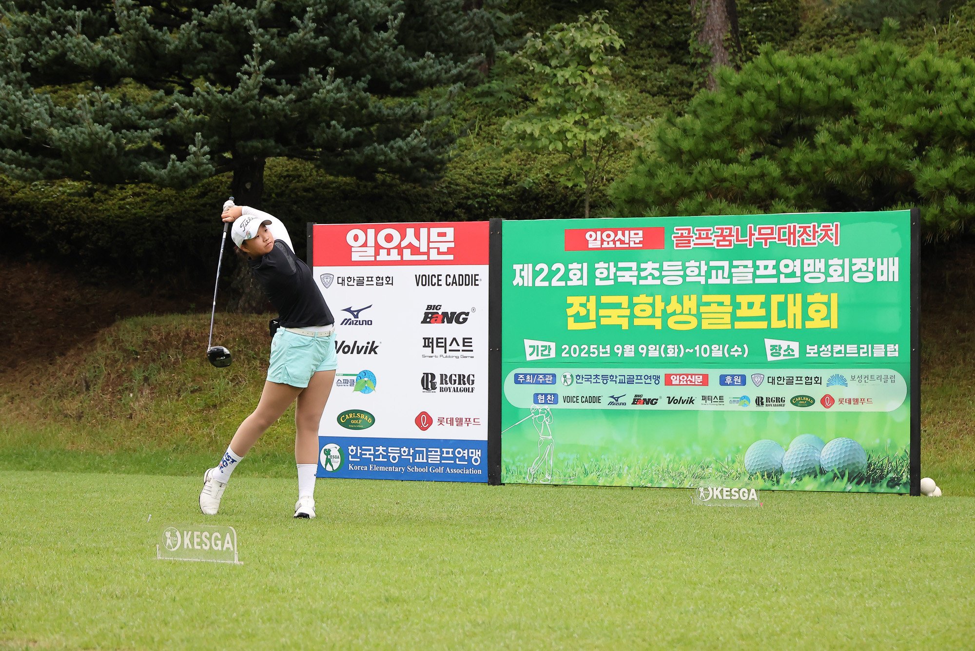 일요신문;일요신문골프;일요신문꿈나무골프대회;골프대회;꿈나무골프대회;보성;보성CC;대잔치 골프연맹;초등학생