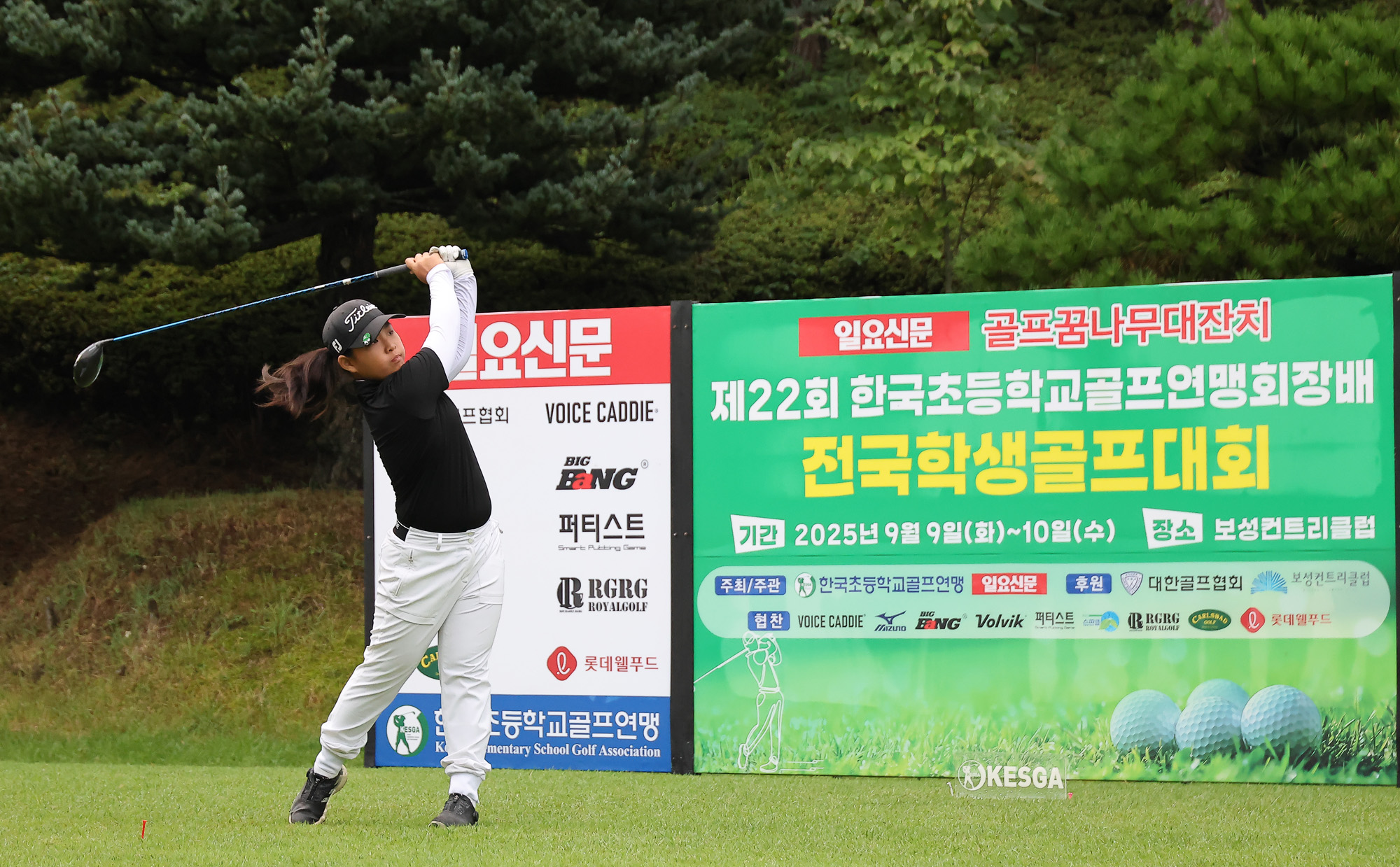 일요신문;일요신문골프;일요신문꿈나무골프대회;골프대회;꿈나무골프대회;보성;보성CC;대잔치 골프연맹;초등학생