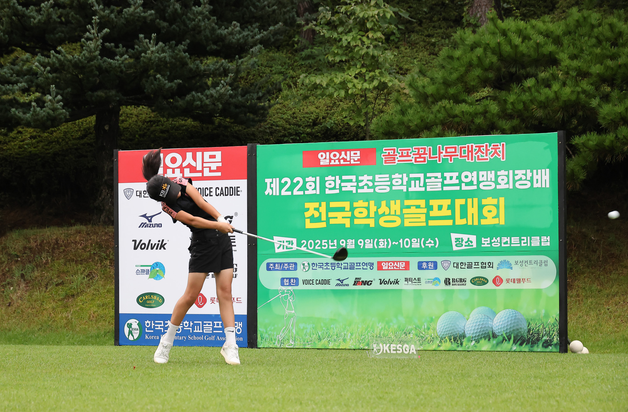 일요신문;일요신문골프;일요신문꿈나무골프대회;골프대회;꿈나무골프대회;보성;보성CC;대잔치 골프연맹;초등학생