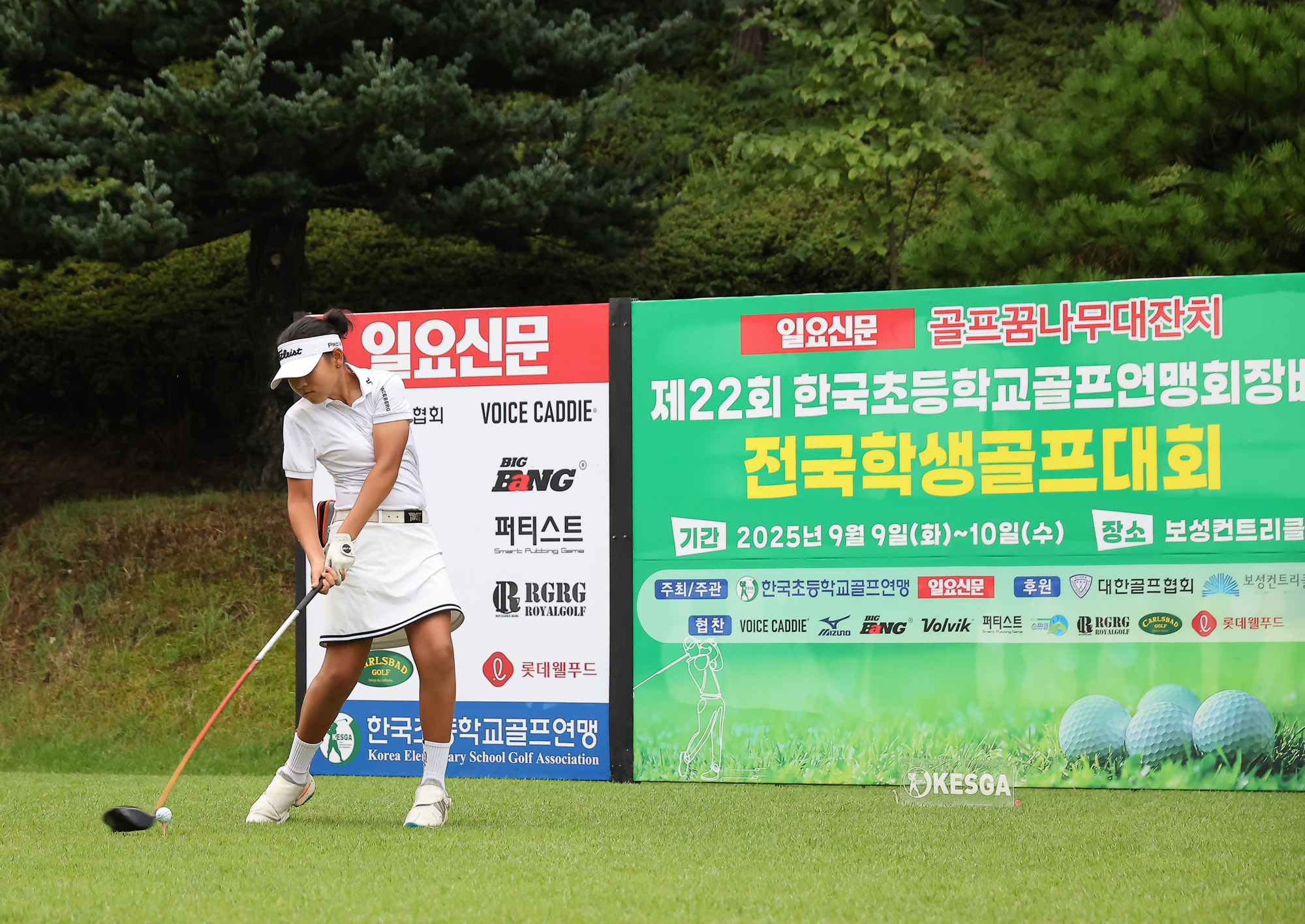 일요신문;일요신문골프;일요신문꿈나무골프대회;골프대회;꿈나무골프대회;보성;보성CC;대잔치 골프연맹;초등학생