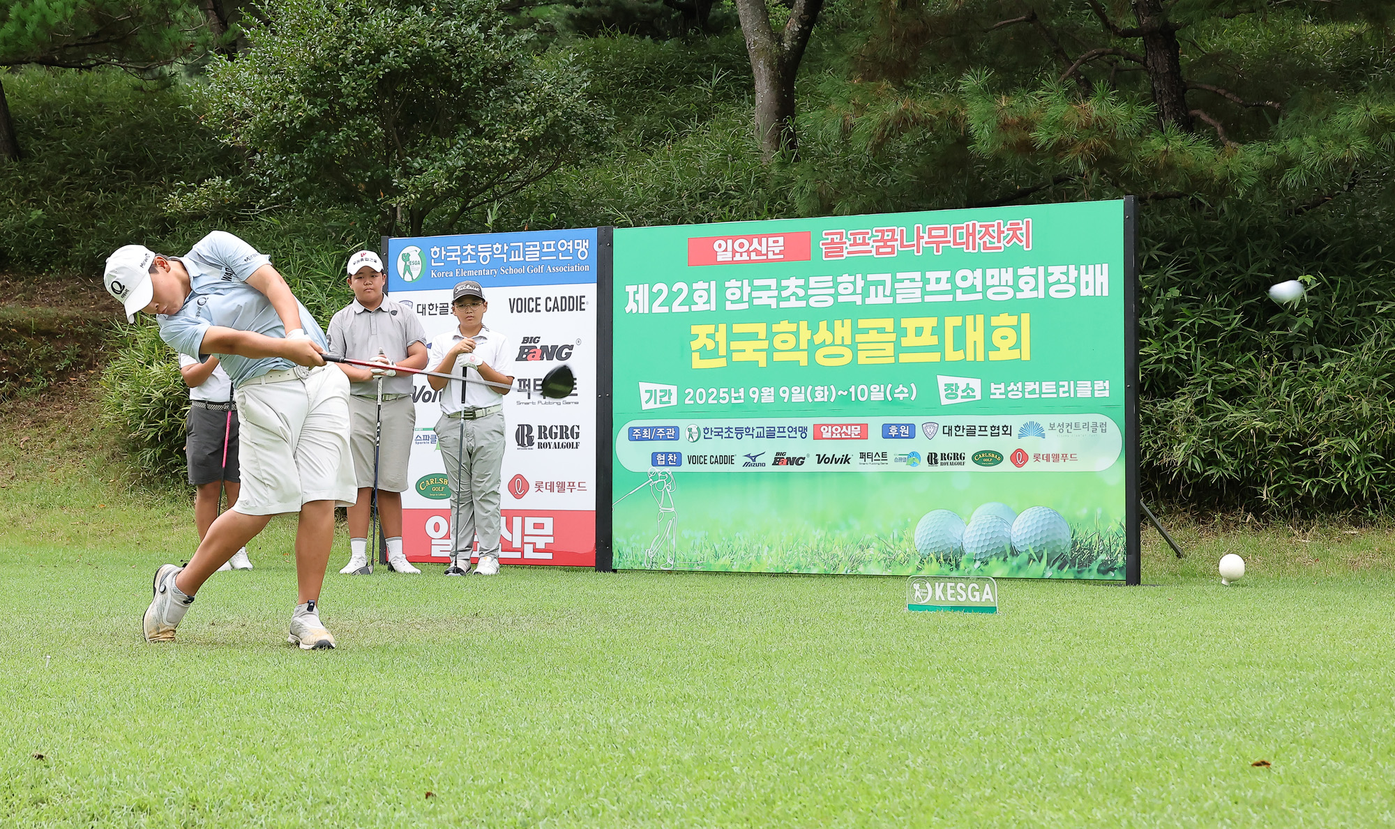 일요신문;일요신문골프;일요신문꿈나무골프대회;골프대회;꿈나무골프대회;보성;보성CC;대잔치 골프연맹;초등학생