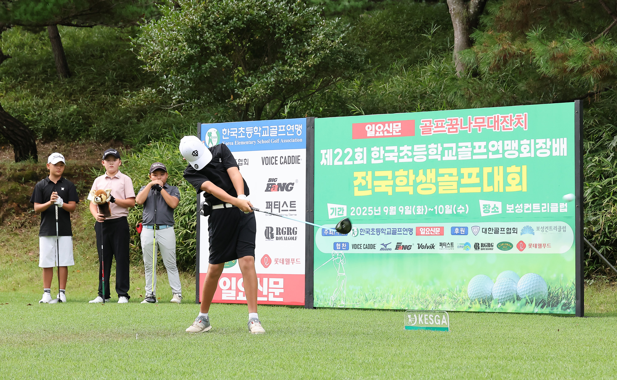 일요신문;일요신문골프;일요신문꿈나무골프대회;골프대회;꿈나무골프대회;보성;보성CC;대잔치 골프연맹;초등학생