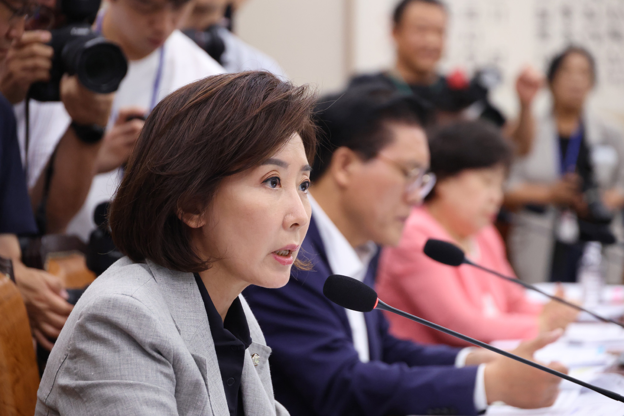 정치;국회;법제사법위원회;나경원;추미애