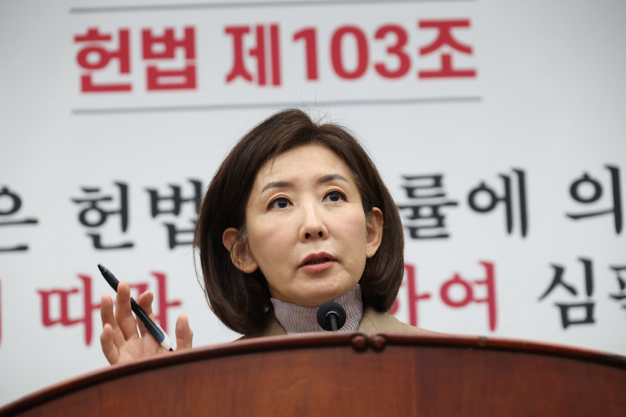 정치;국회;국민의힘 의원총회;나경원