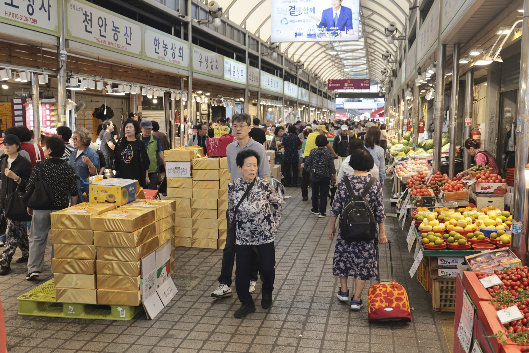 청량리시창;추석물가;선물세트