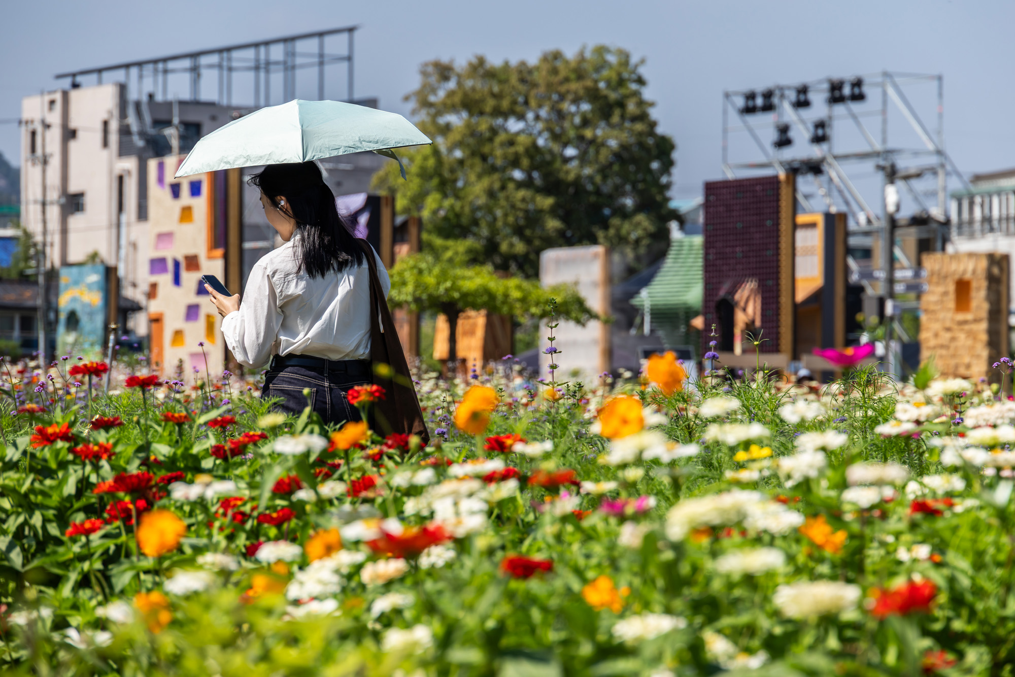 사회;세태;계절스케치;가을스케치;가을하늘;가을꽃;가을코스모스;열린송현녹지광장