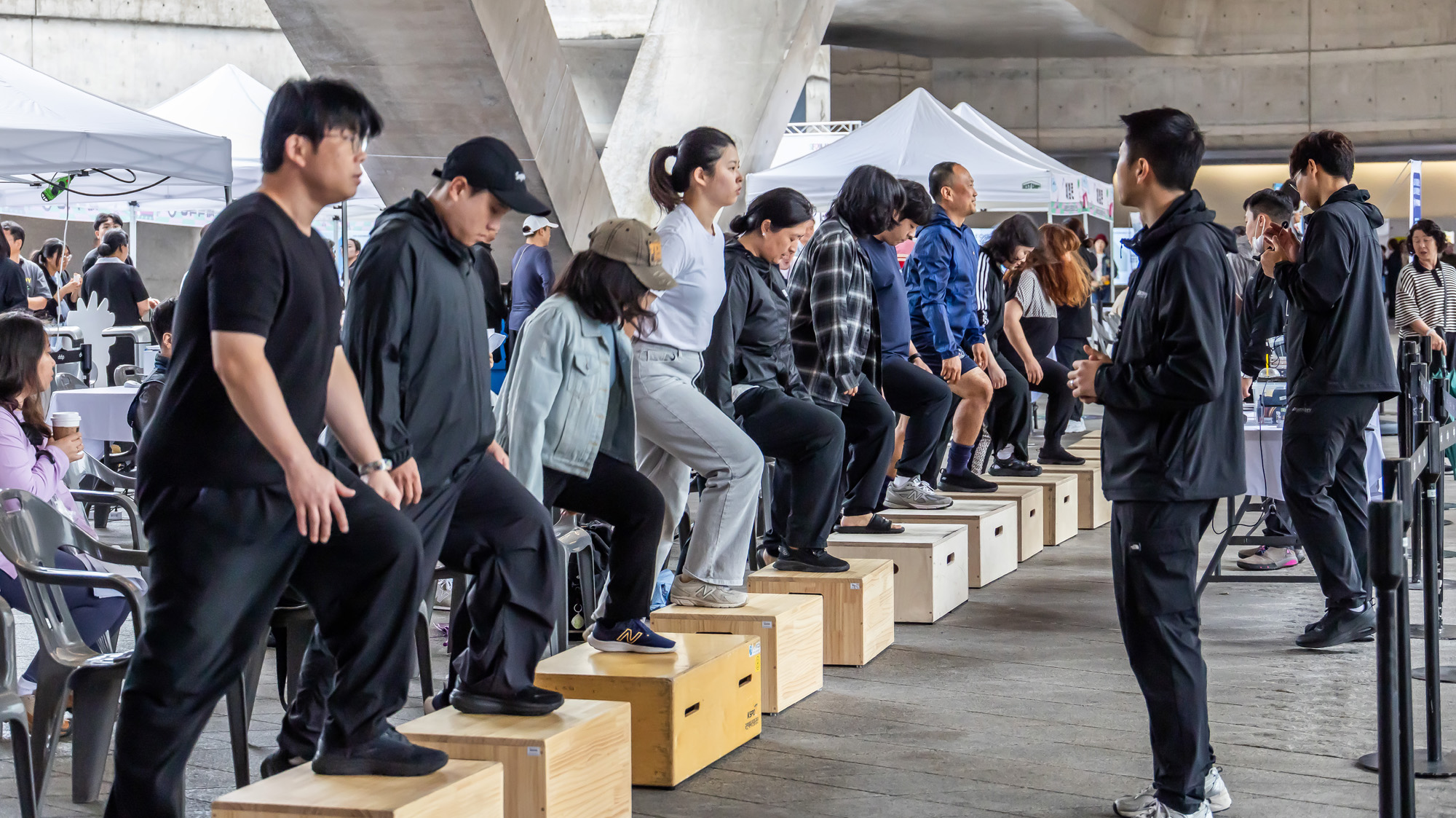 사회;건강;살빼기;서울9988;한가위;한가위확찐살확빼기;체력측정;DDP;동대문디자인플라자;추석살빼기