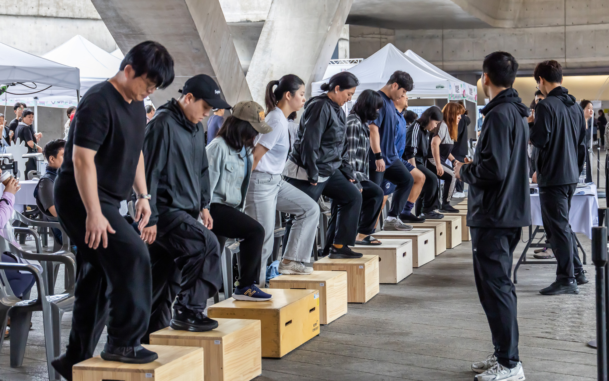 사회;건강;살빼기;서울9988;한가위;한가위확찐살확빼기;체력측정;DDP;동대문디자인플라자;추석살빼기